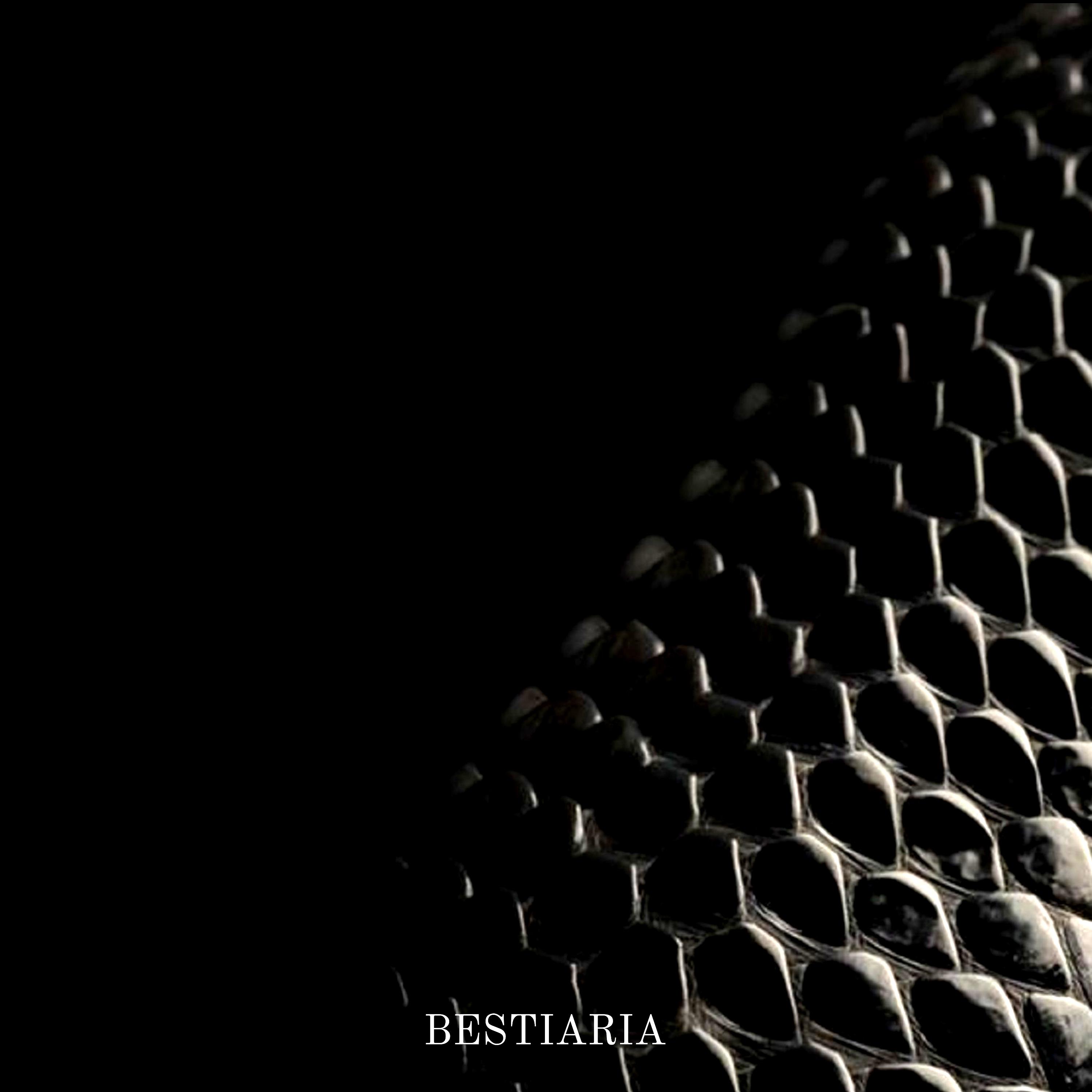 Постер альбома Bestiaria