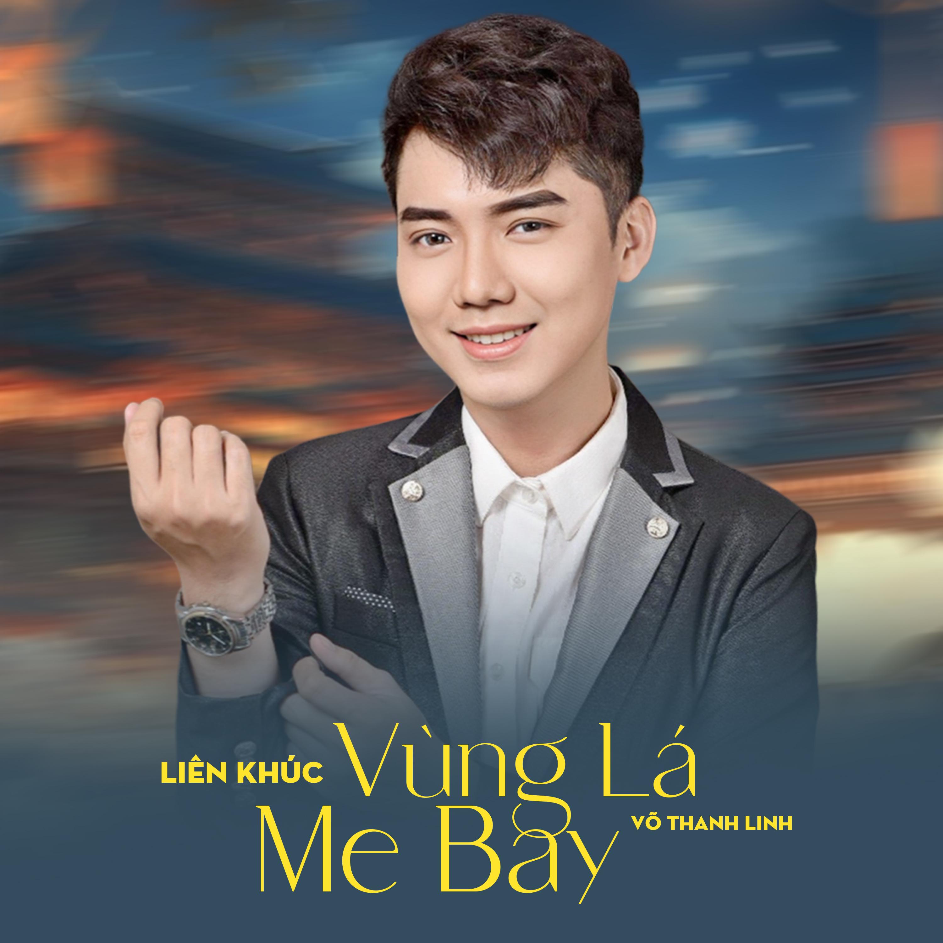 Постер альбома Liên Khúc Vùng Lá Me Bay