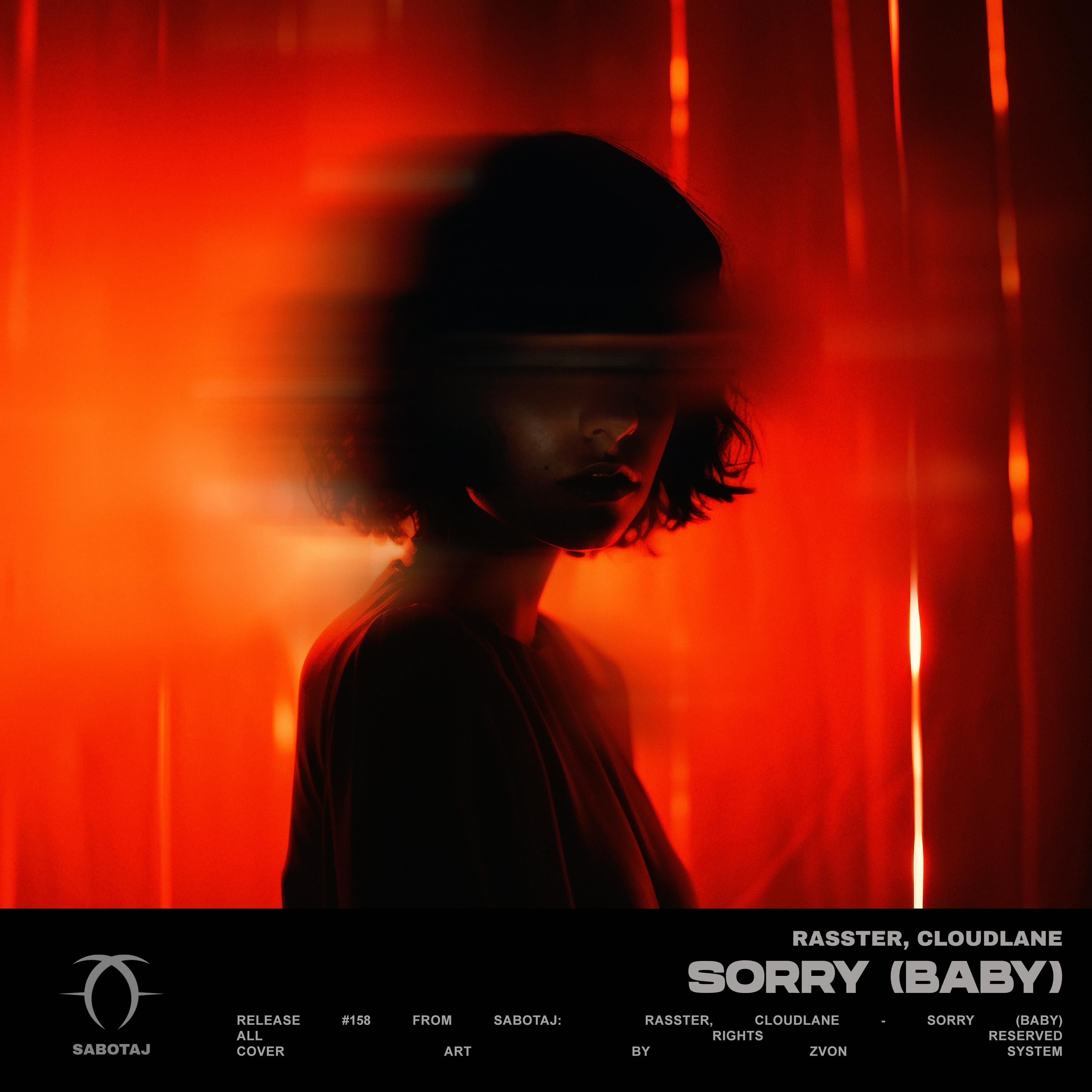 Постер альбома Sorry (Baby)