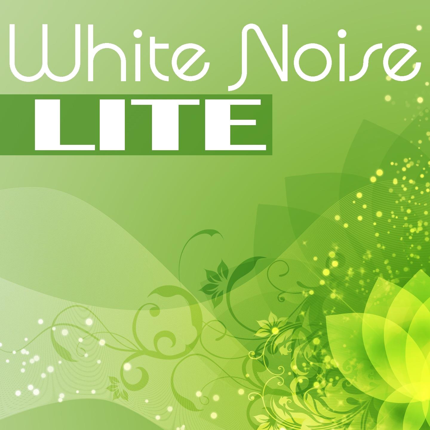 Постер альбома White Noise Lite
