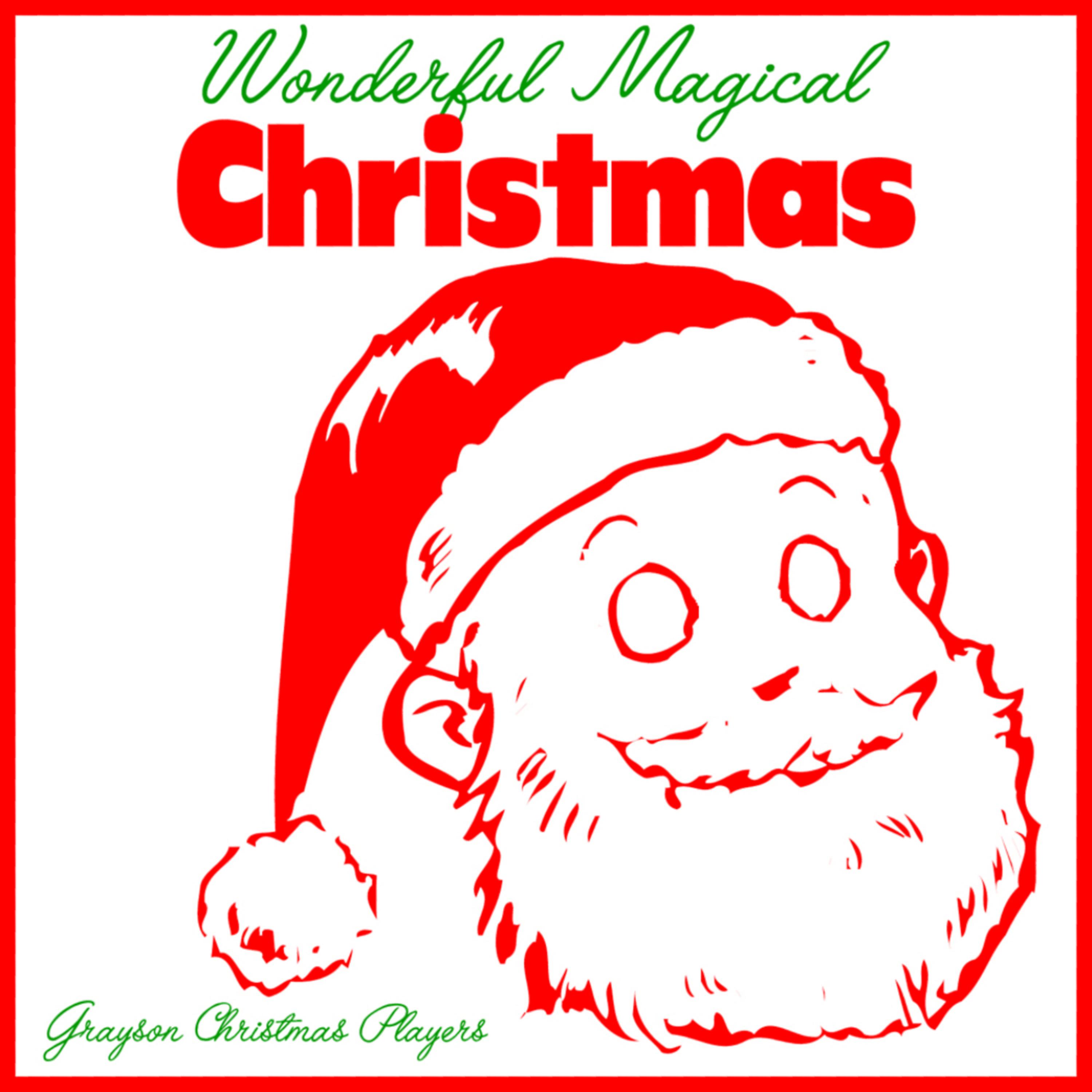 Постер альбома Wonderful Magical Christmas