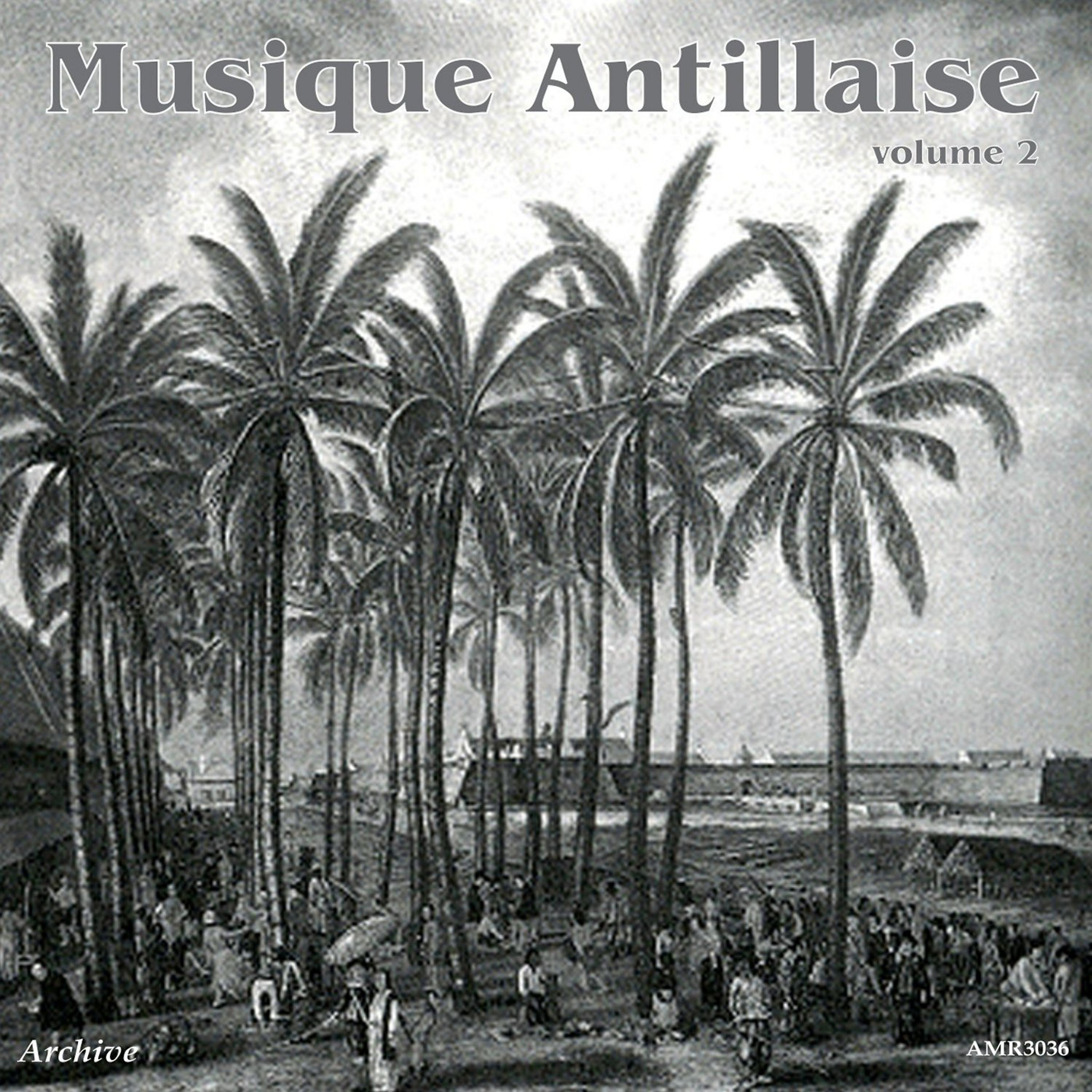Постер альбома Musique des Antillais, Vol. 2