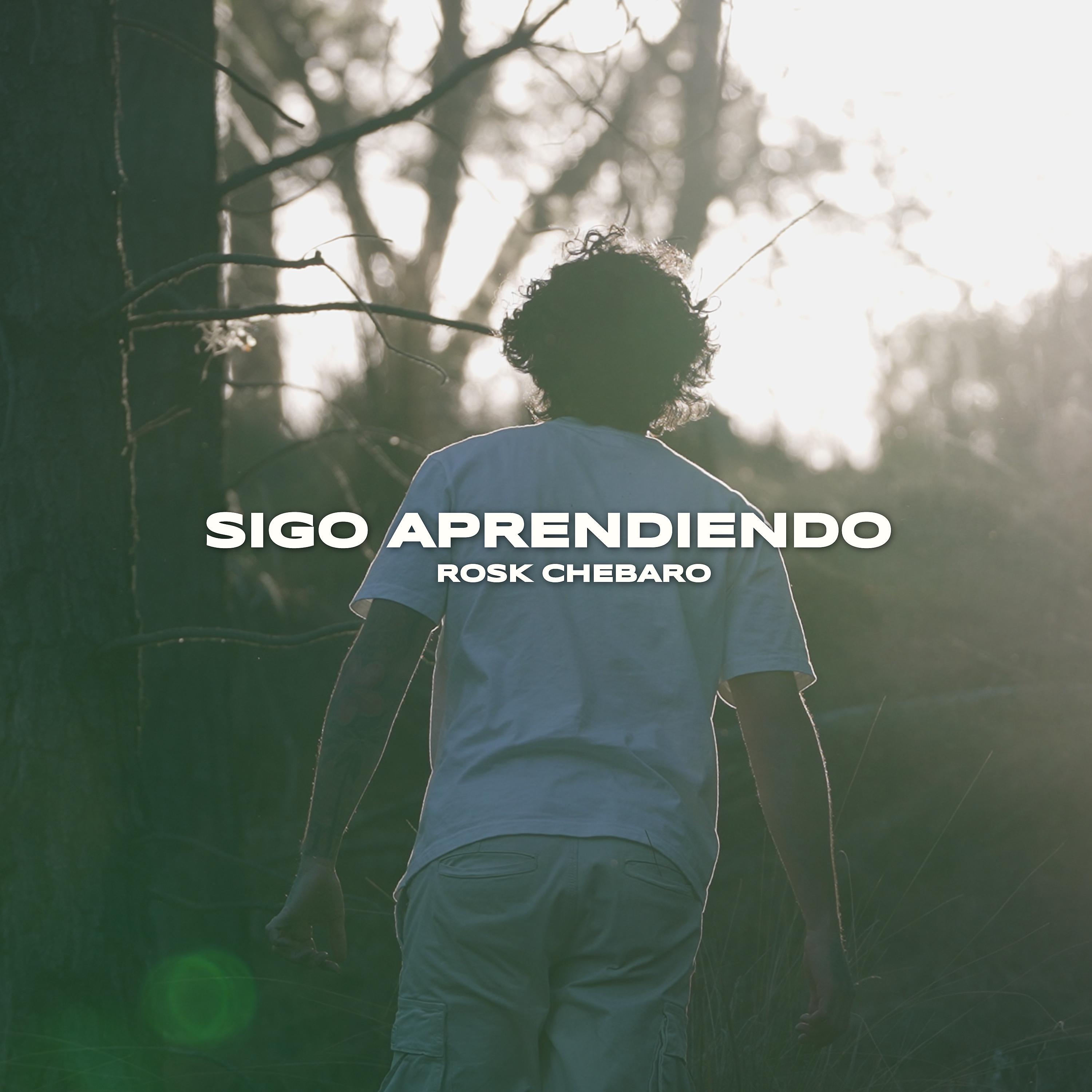 Постер альбома Sigo Aprendiendo