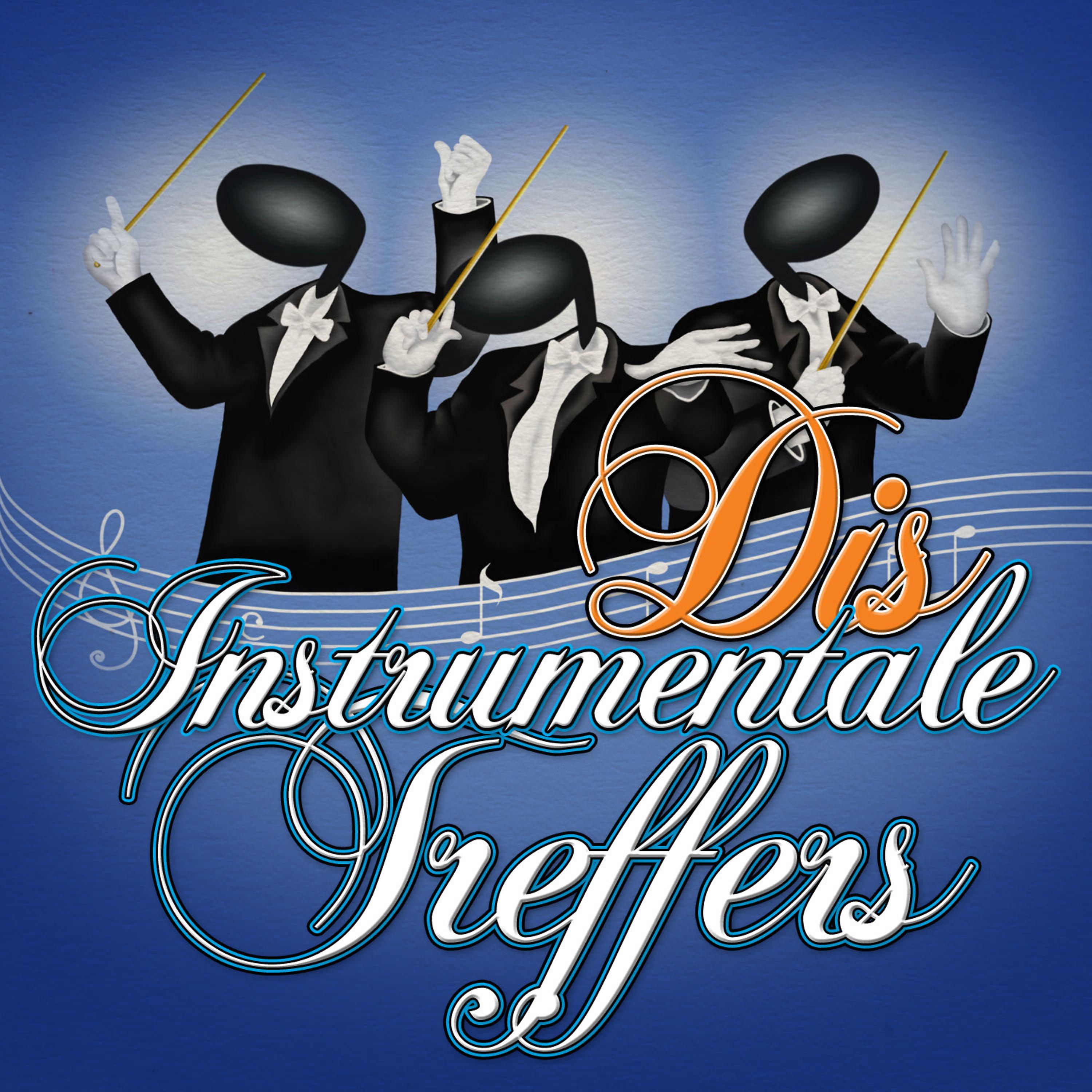 Постер альбома Dis Instrumentale Treffers