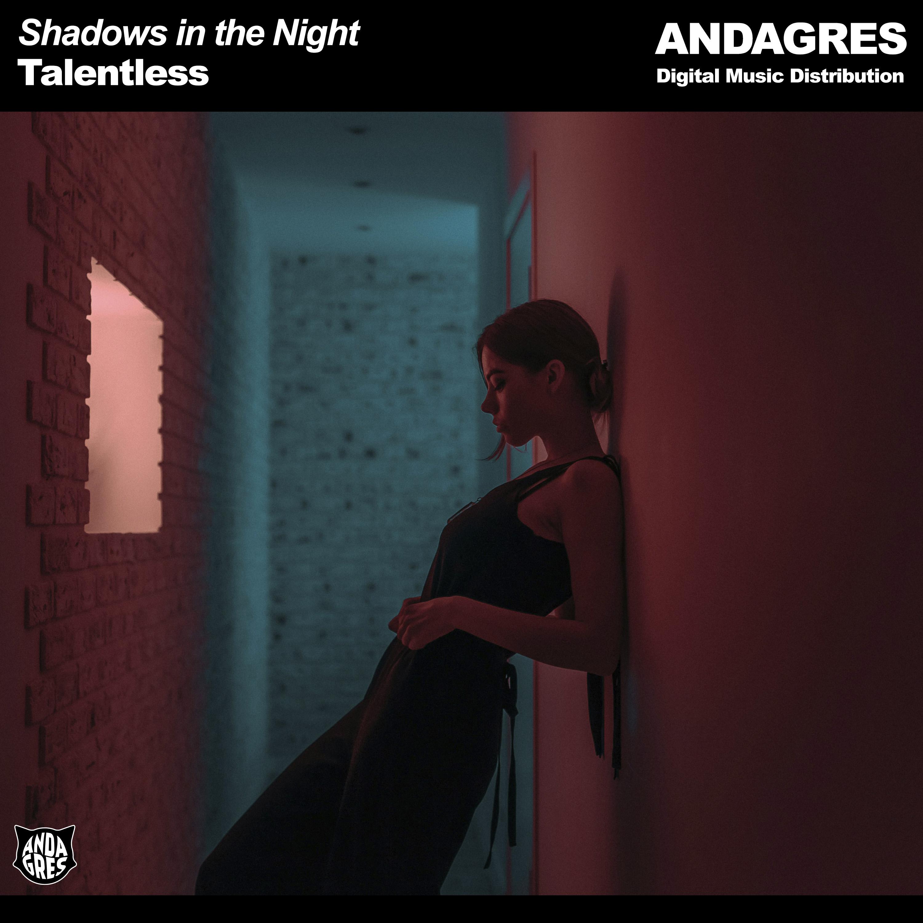 Постер альбома Shadows in the Night