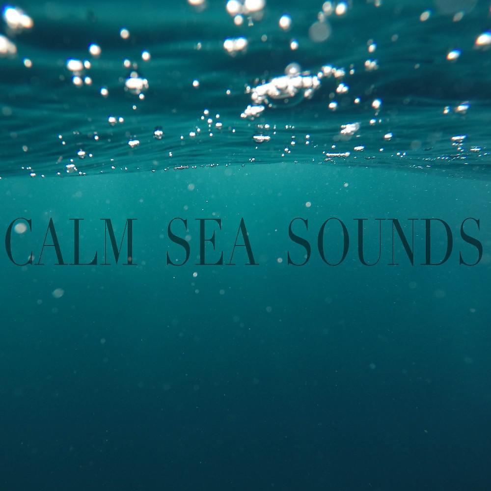 Постер альбома Calm Sea Sounds