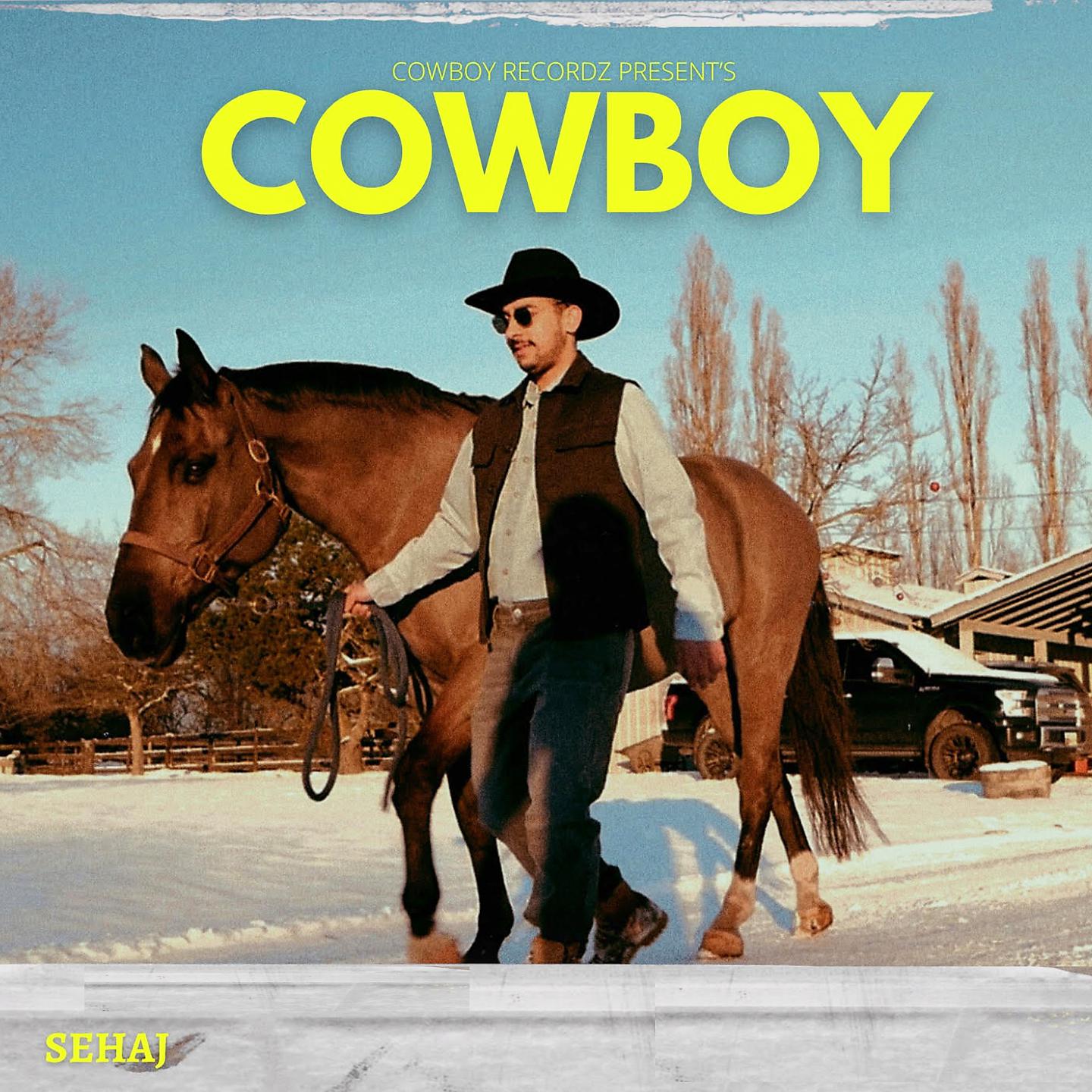 Постер альбома Cow Boy