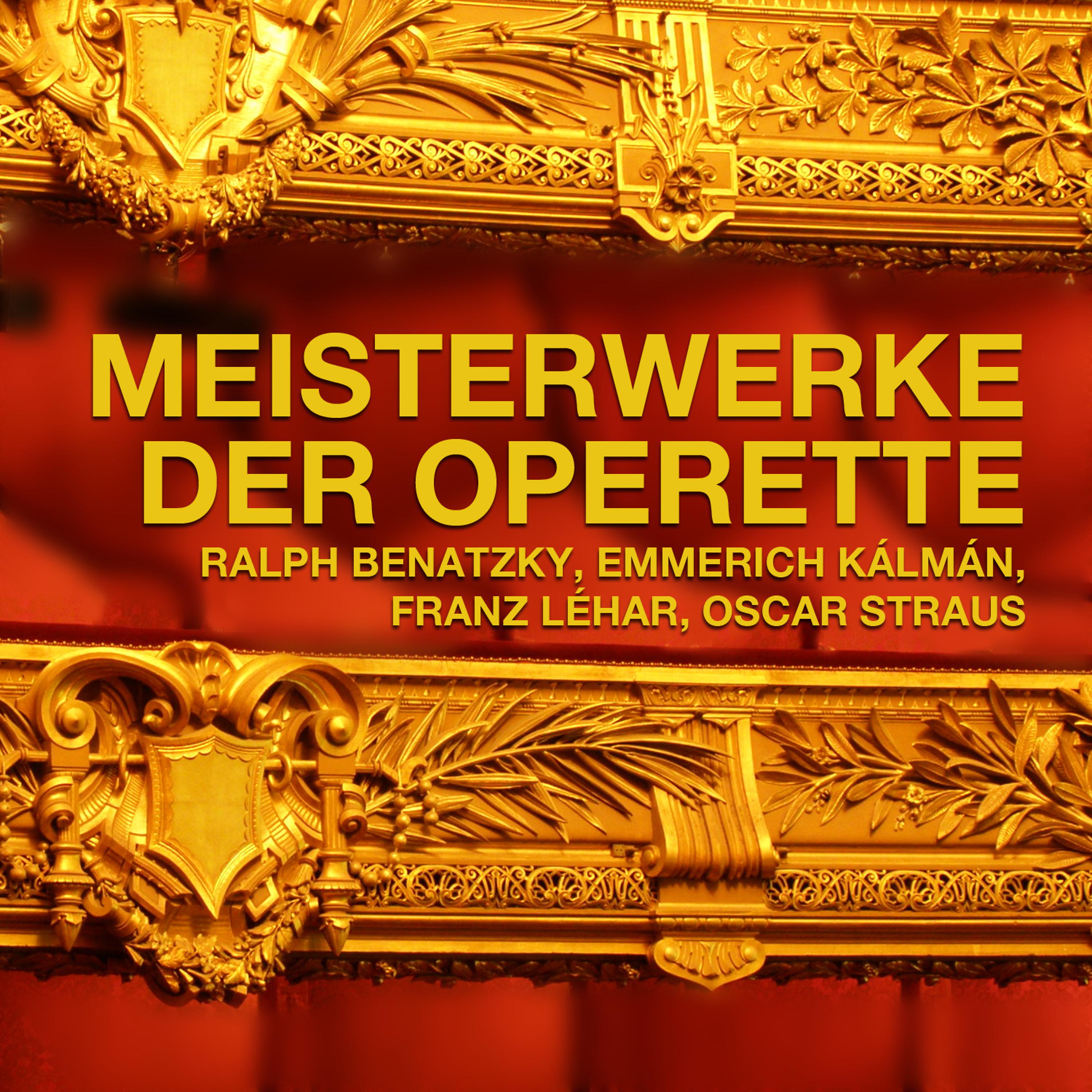 Постер альбома Meisterwerke der Operette