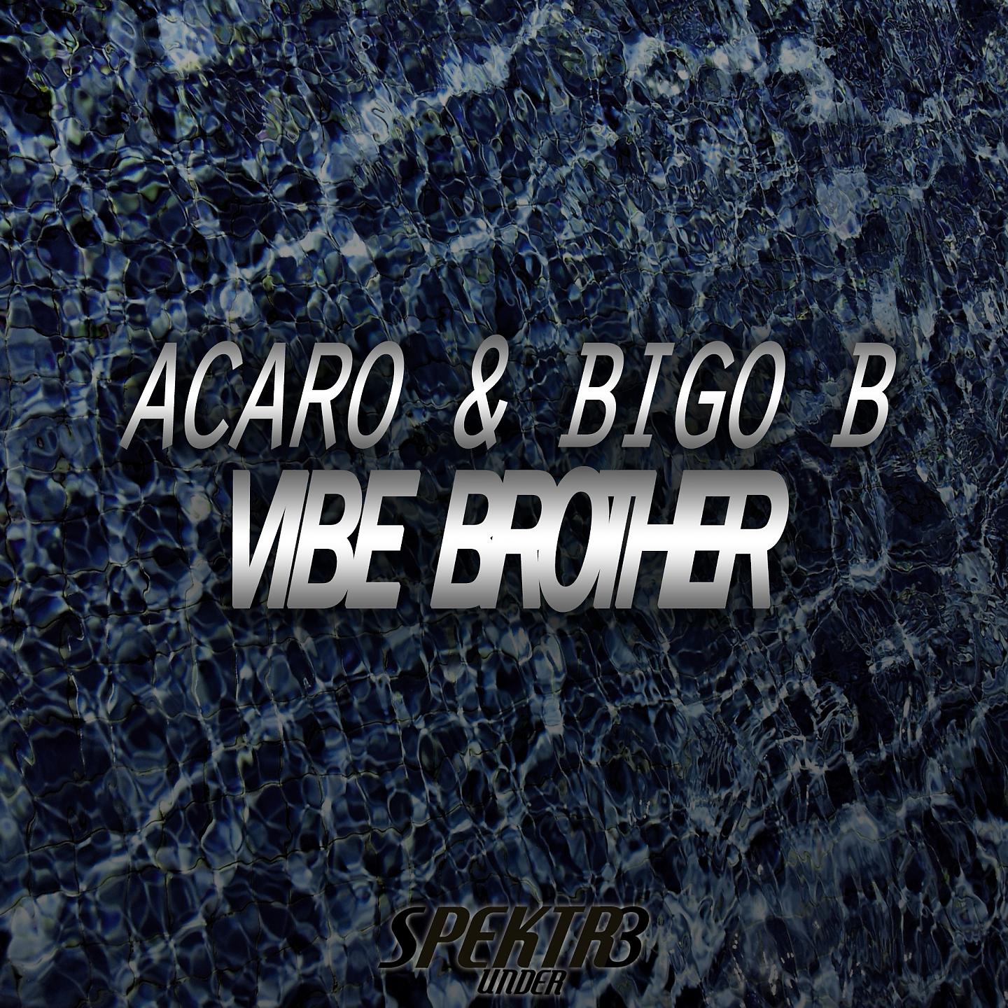 Постер альбома Vibe Brother