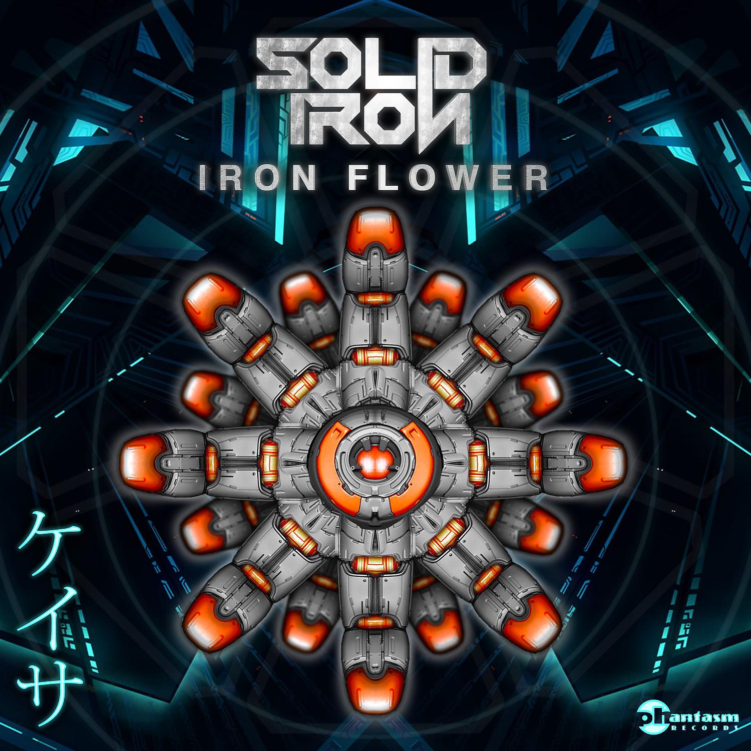 Постер альбома Iron Flower