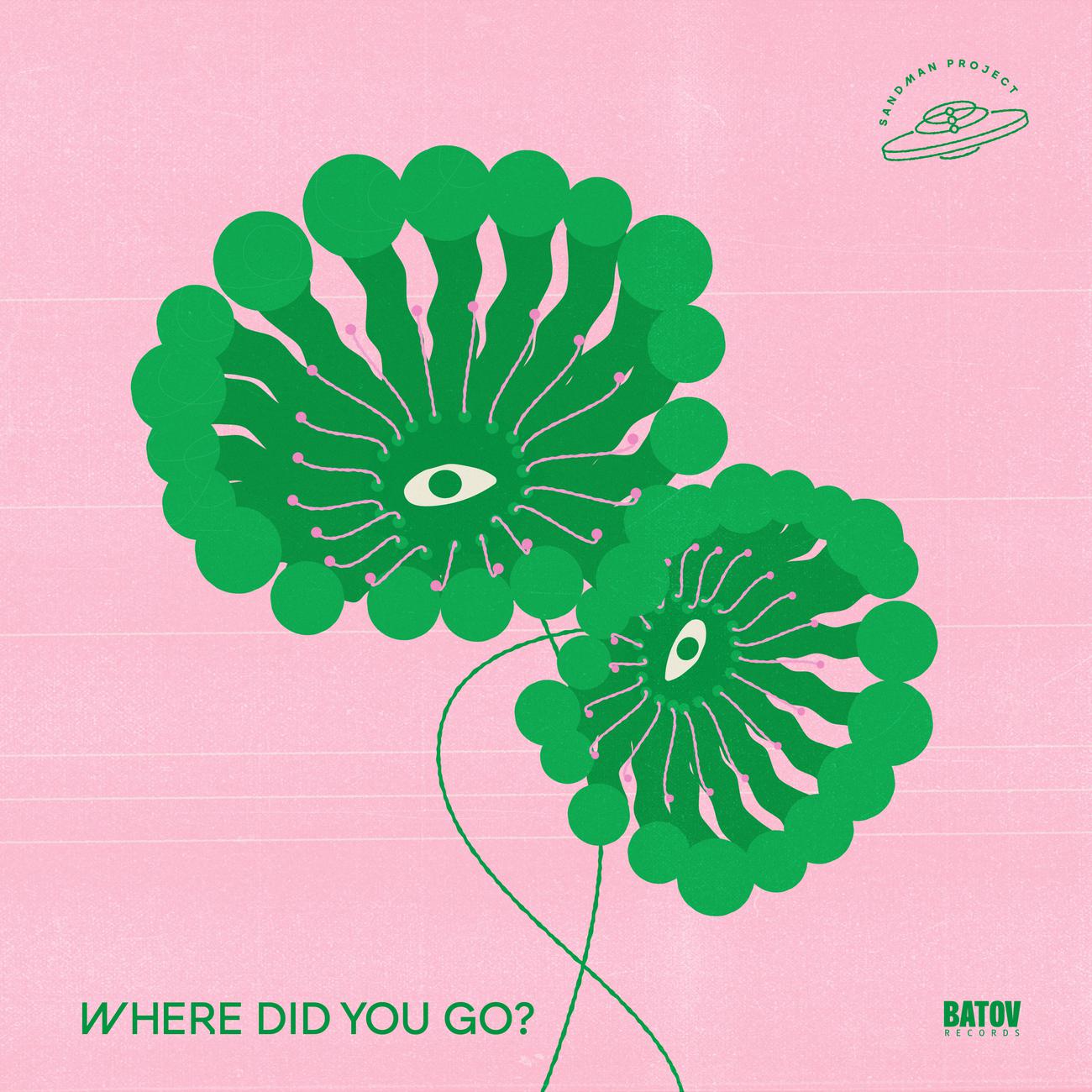 Постер альбома Where Did You Go?
