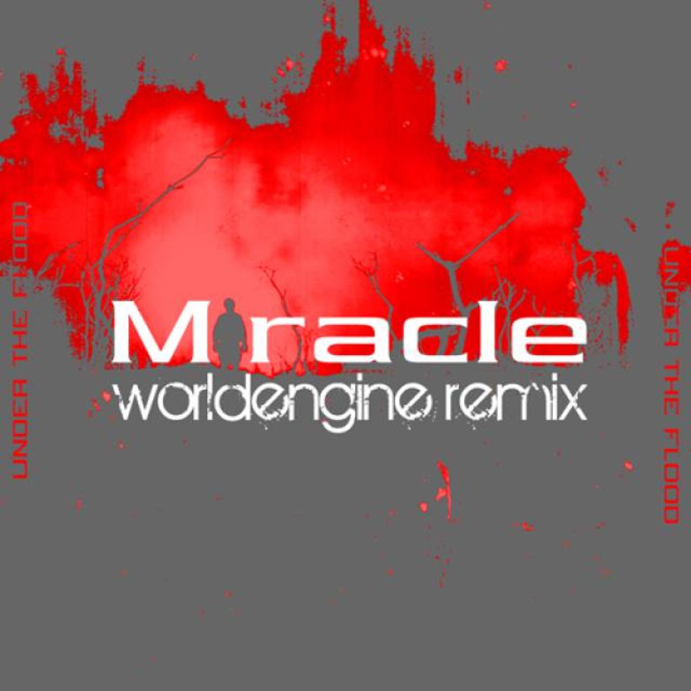 Постер альбома Miracle (WorldEngine Remix)