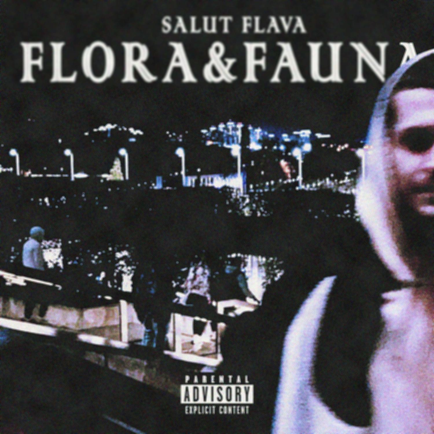 Постер альбома FLORA&FAUNA