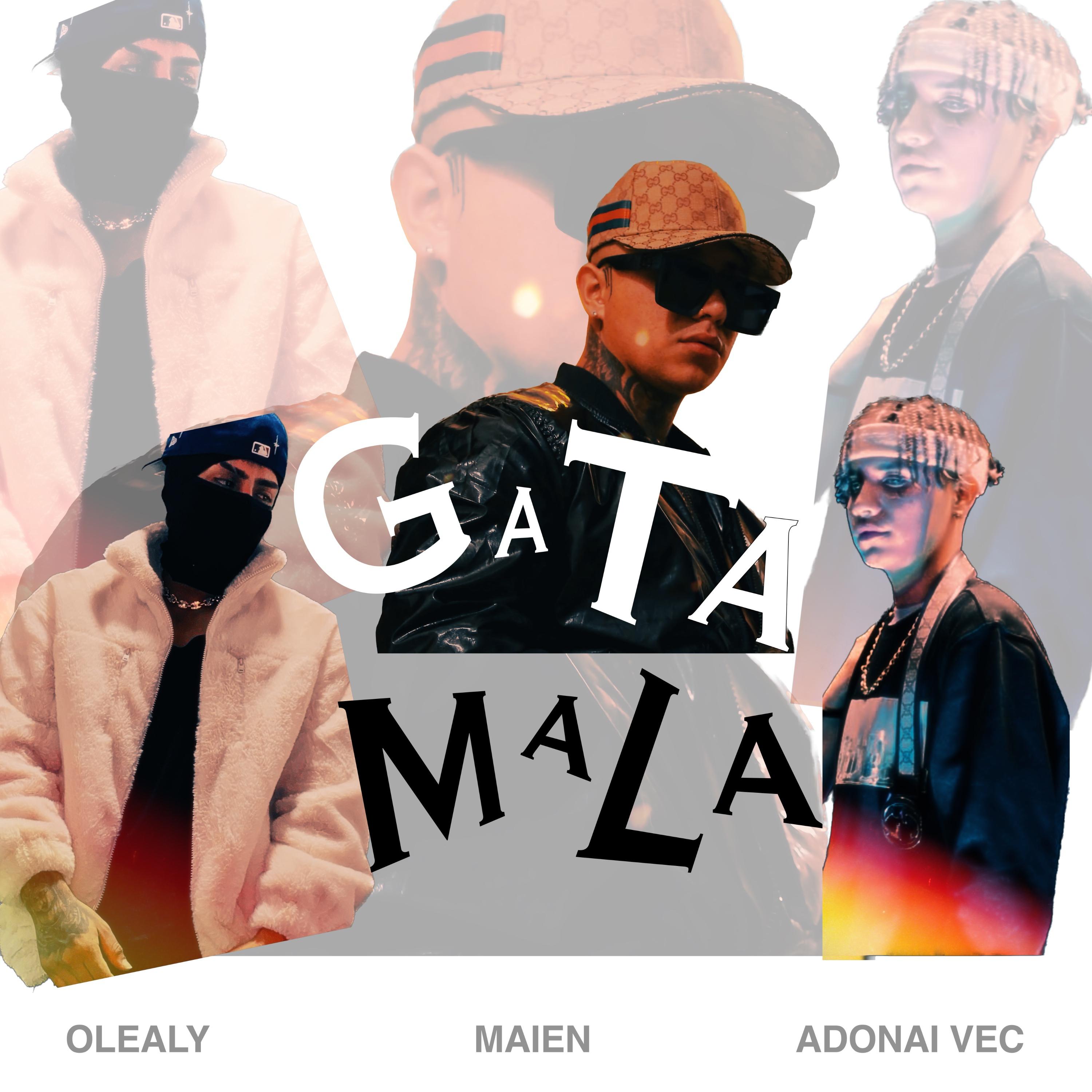 Постер альбома Gata Mala