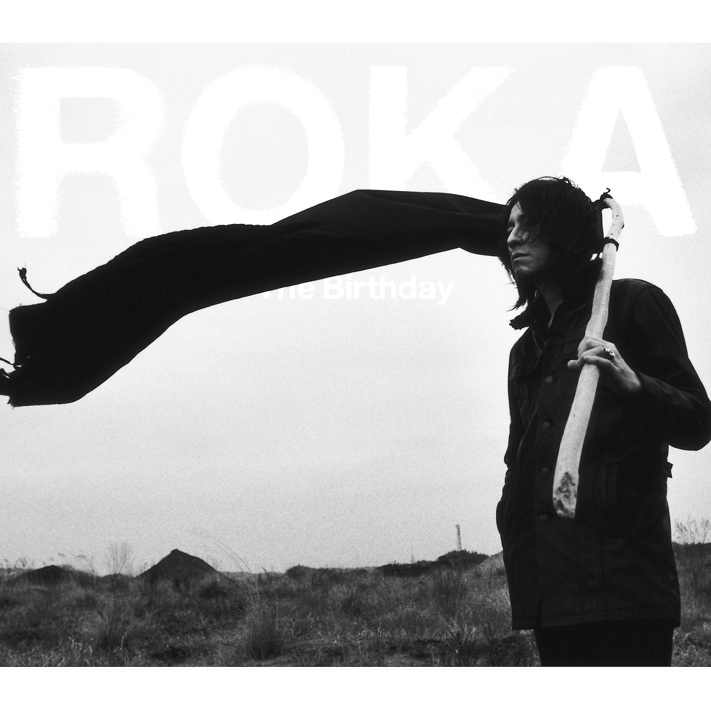 Постер альбома Roka