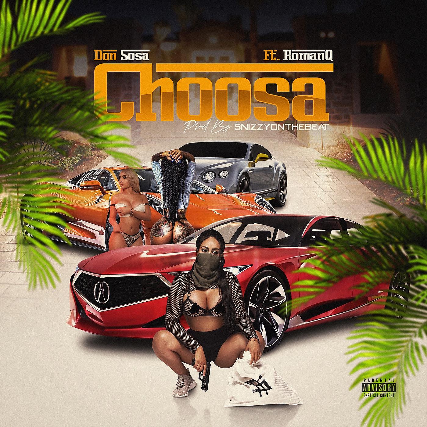 Постер альбома Choosa