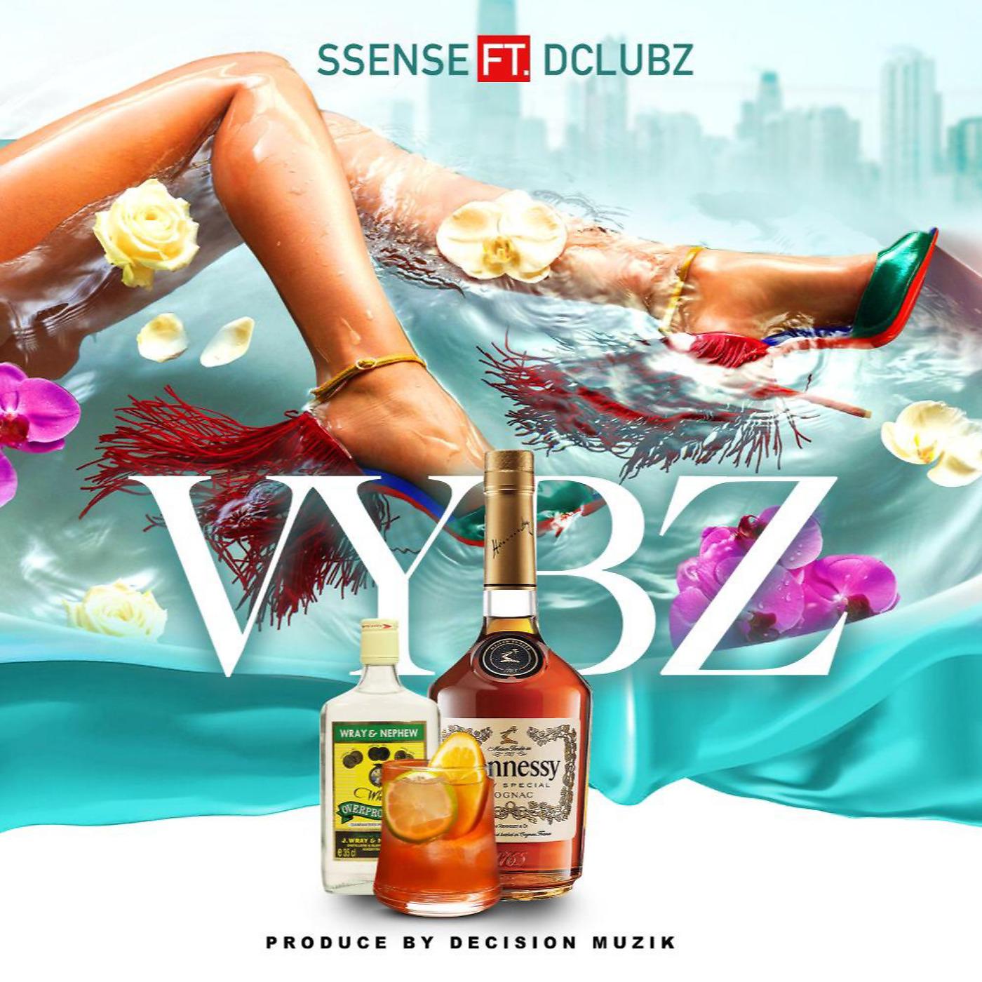 Постер альбома Vybz