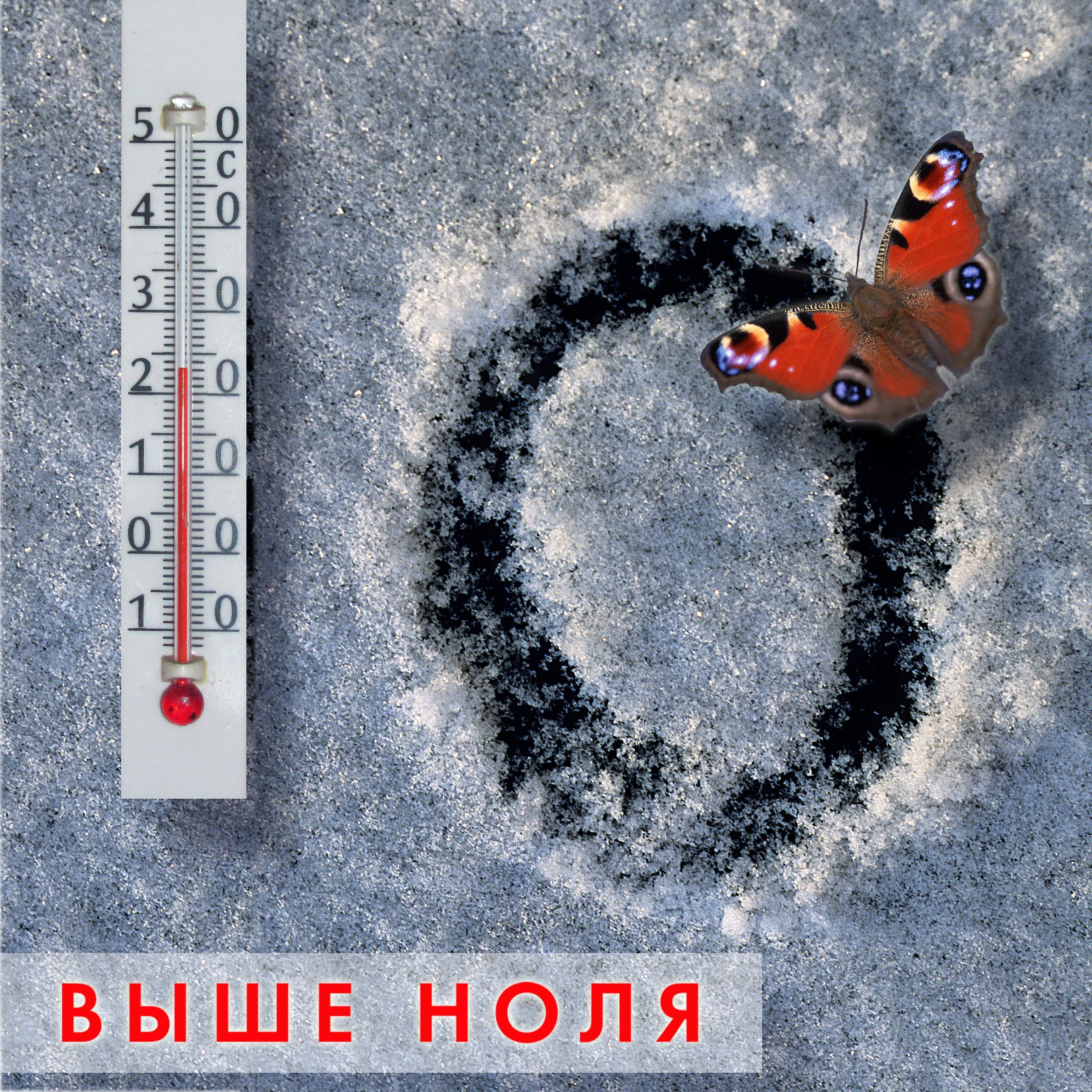 Постер альбома Выше Ноля. Концерт в ЛДМ 2015.