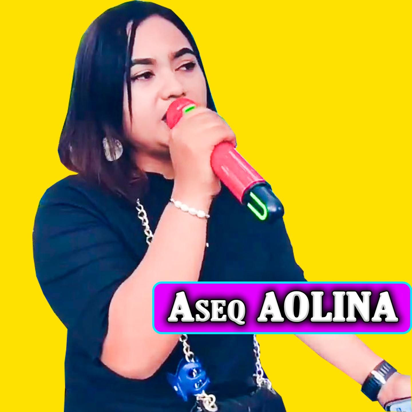Постер альбома Aseq AOLINA