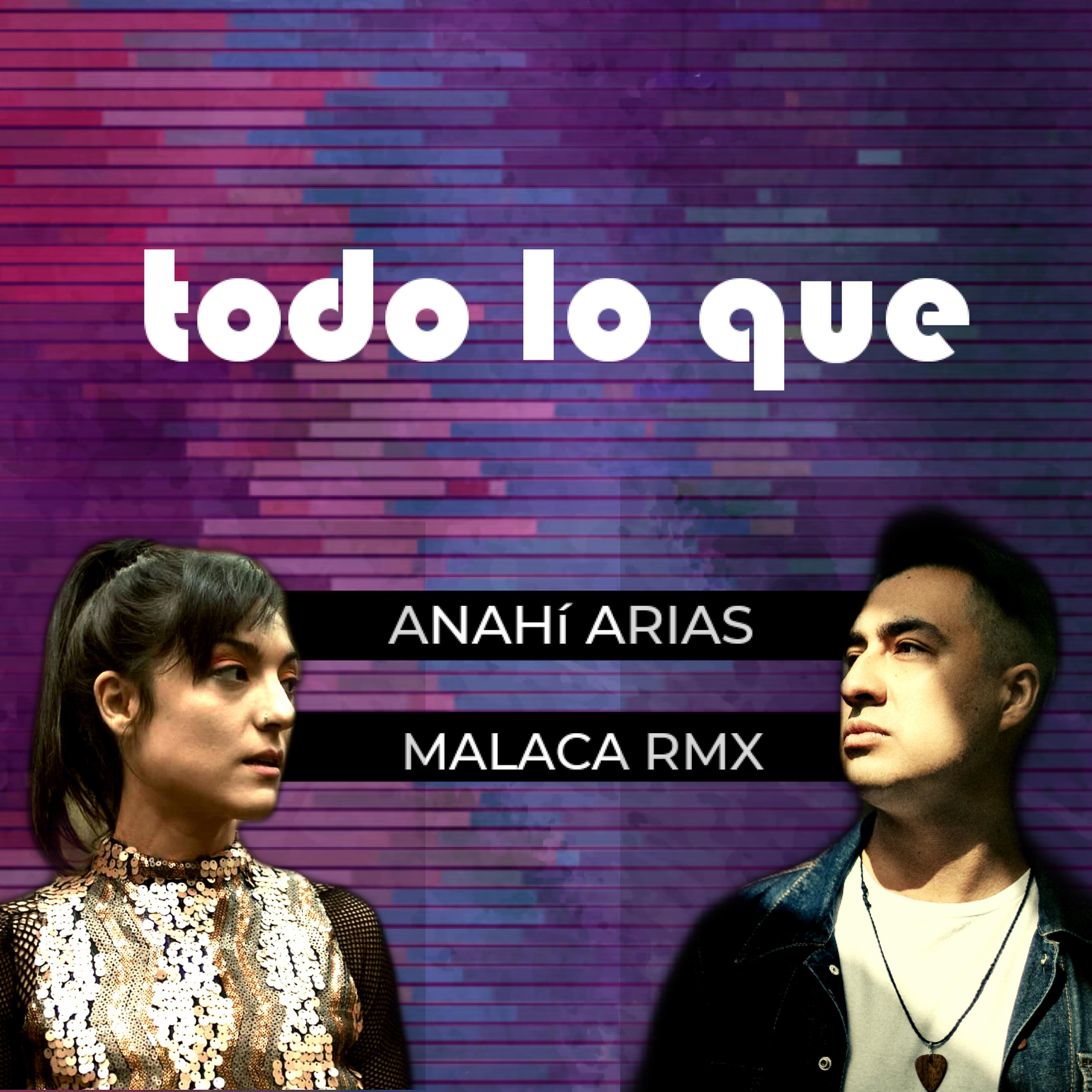Постер альбома Todo Lo Que (Remix)