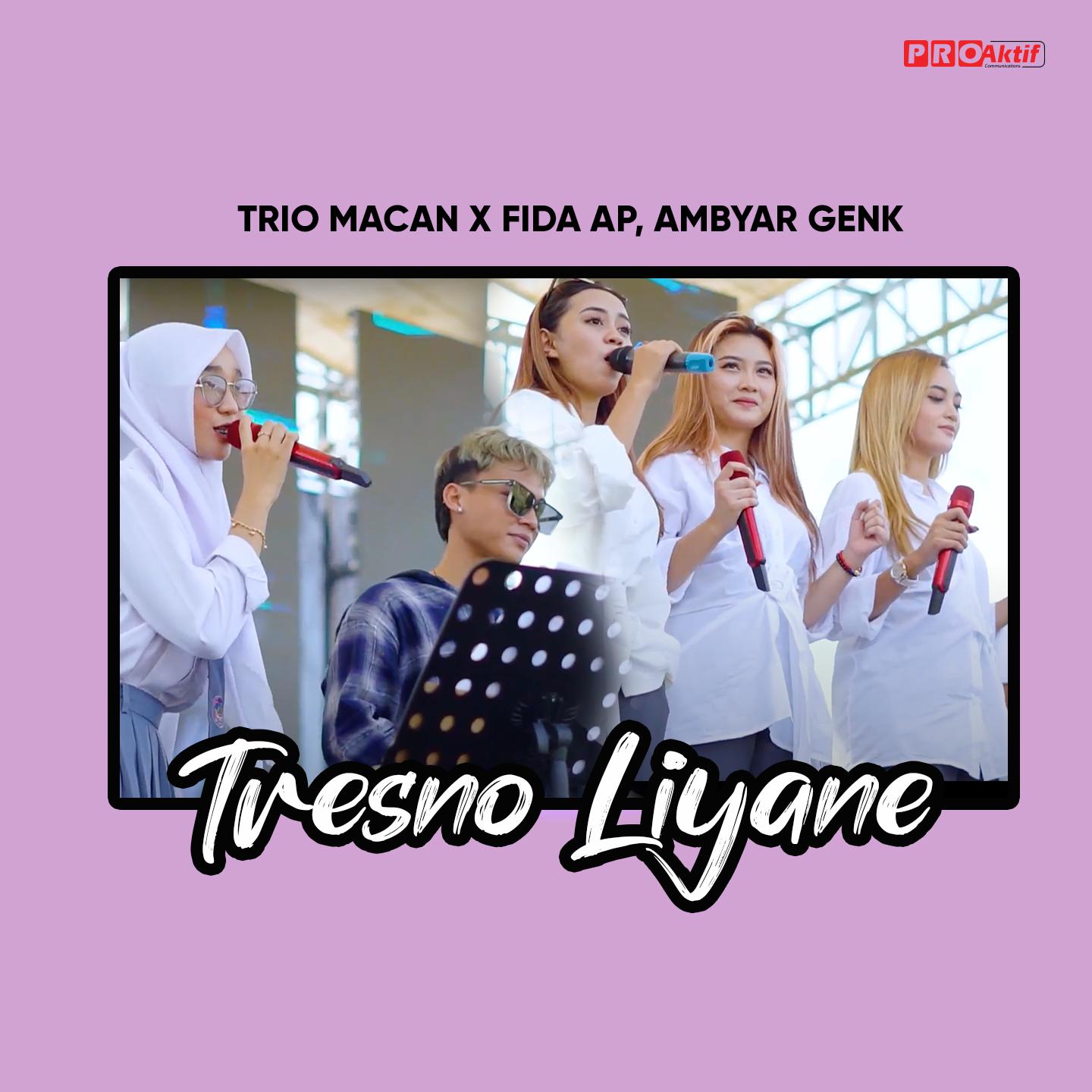 Постер альбома Tresno Liyane