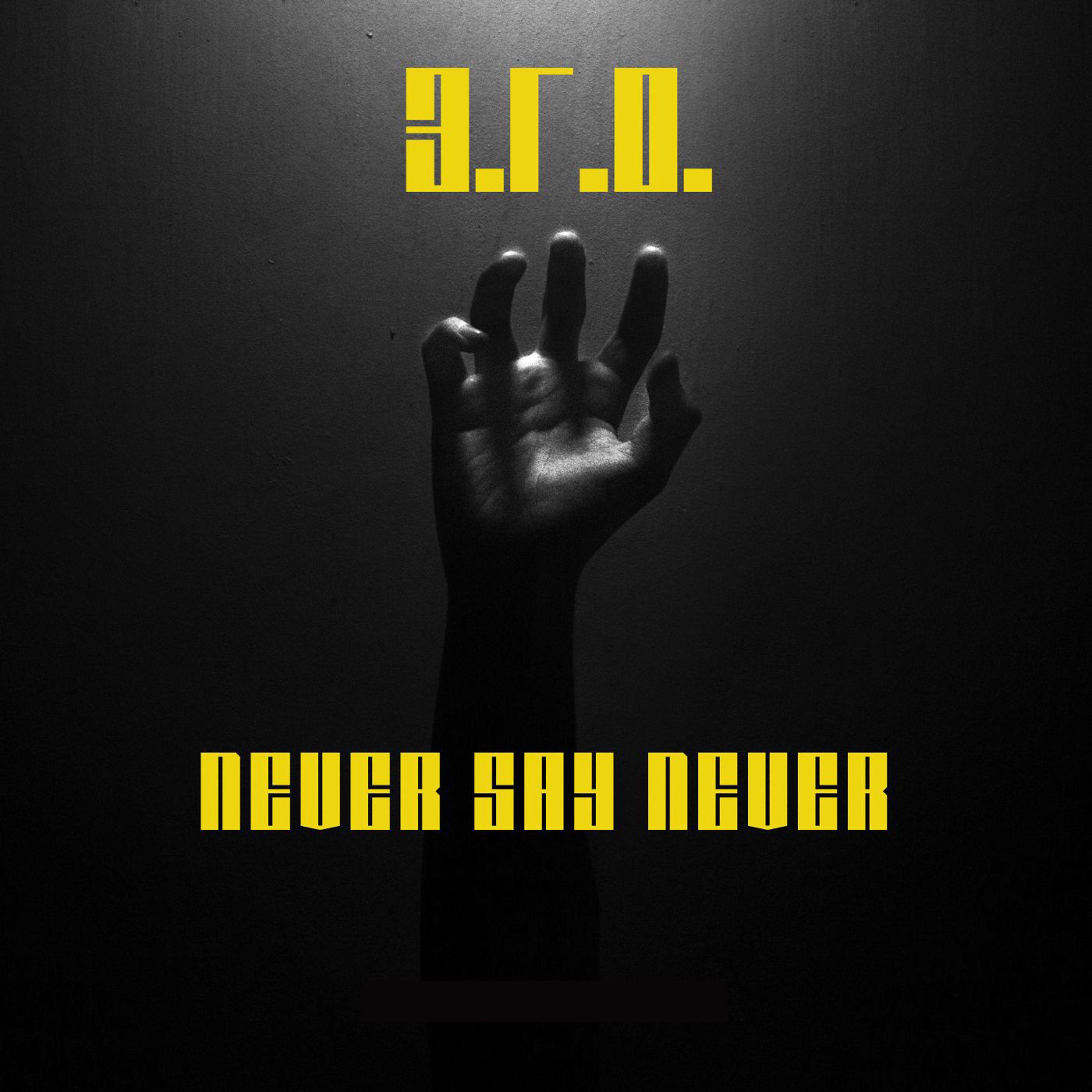Постер альбома Never say never