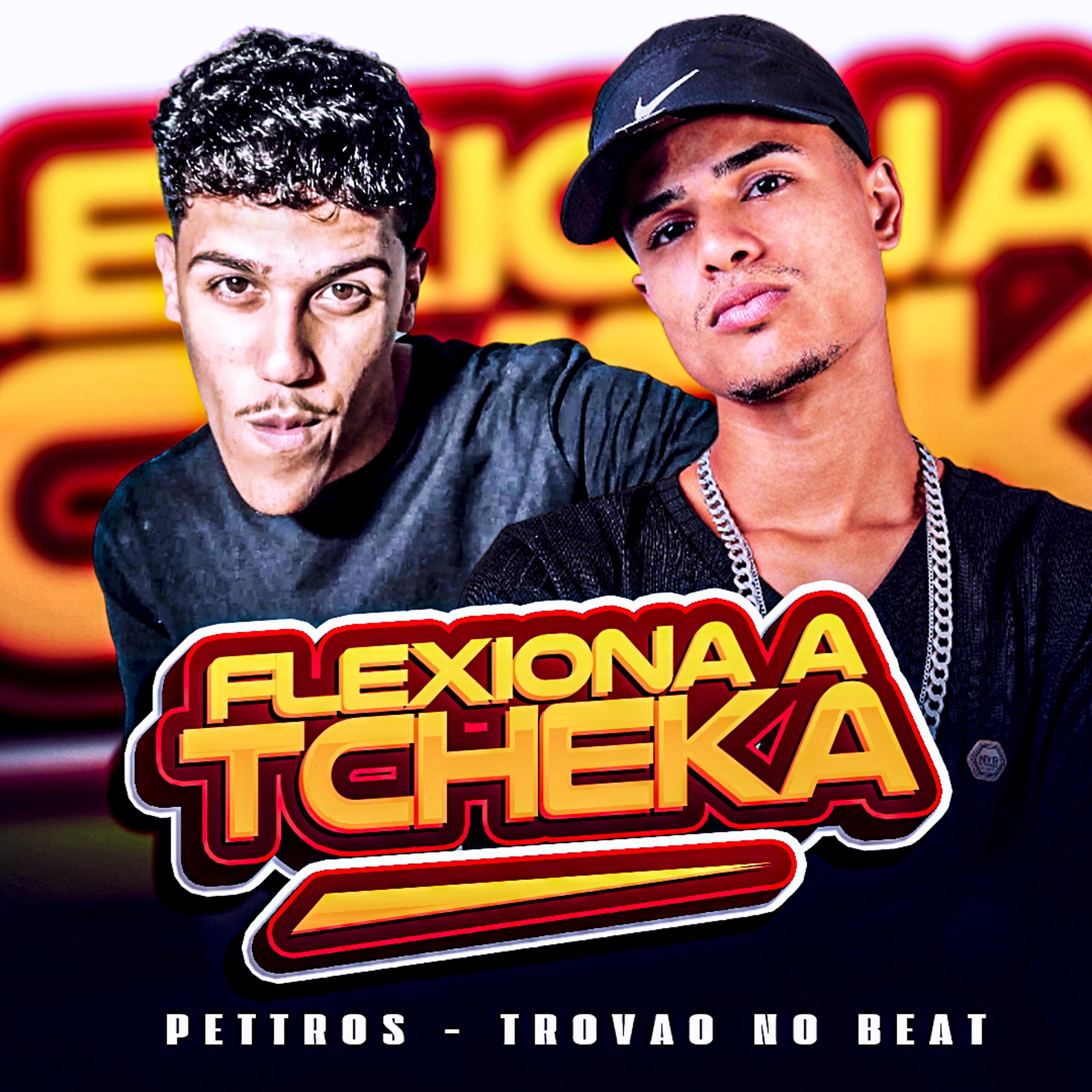 Постер альбома Flexiona a Tcheka