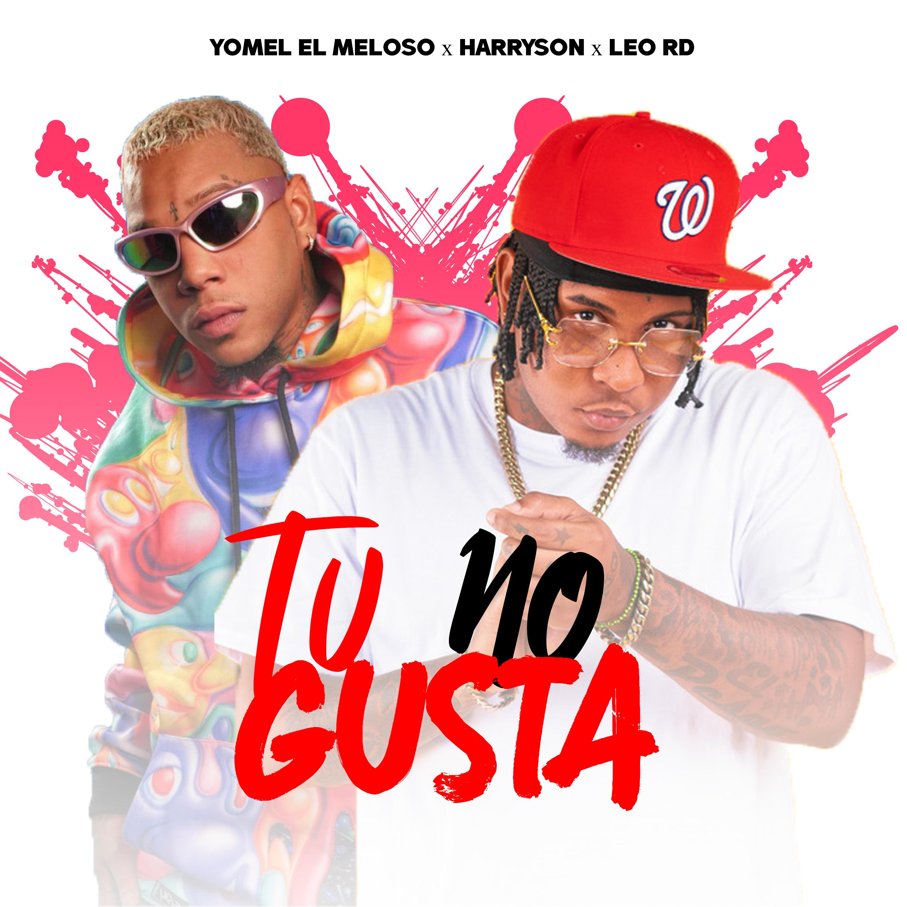 Постер альбома Tu No Gusta