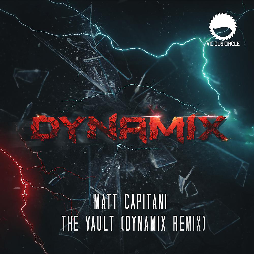 Постер альбома The Vault (Dynamix Remix)