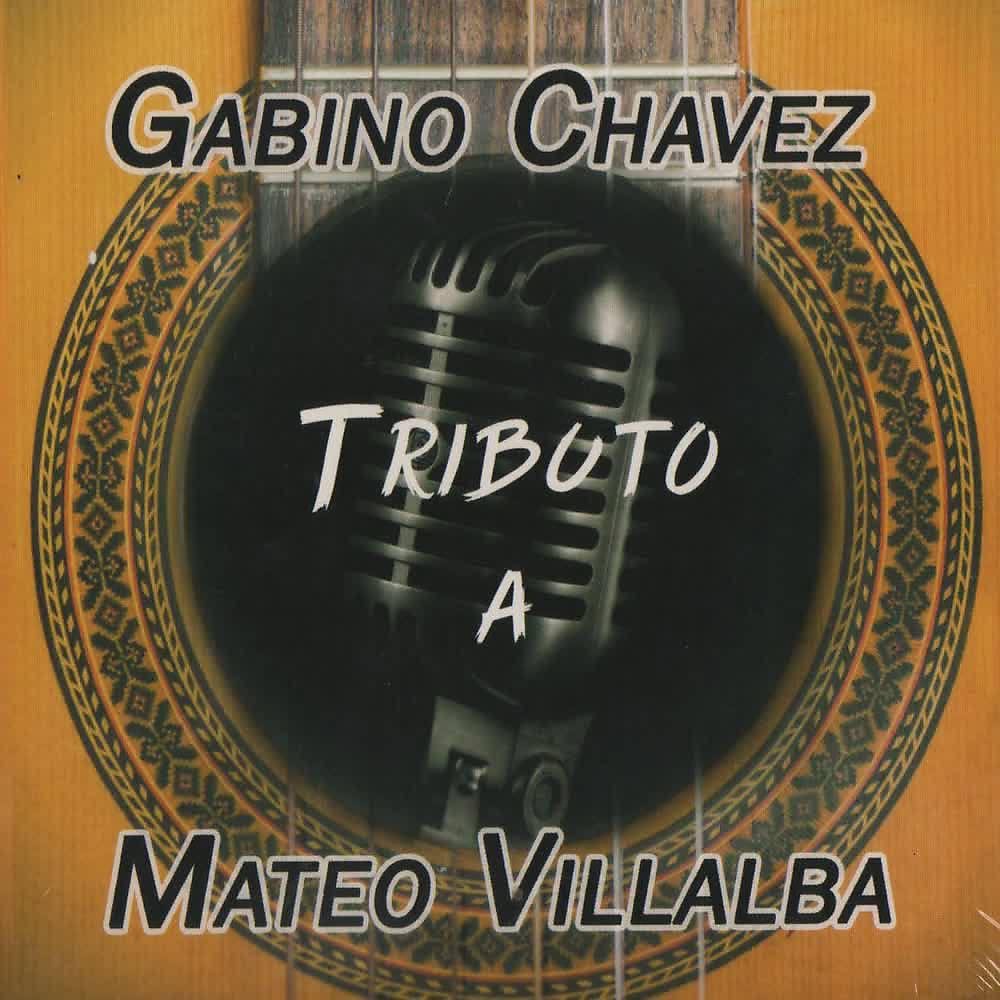 Постер альбома Tributo a Mateo Villalba
