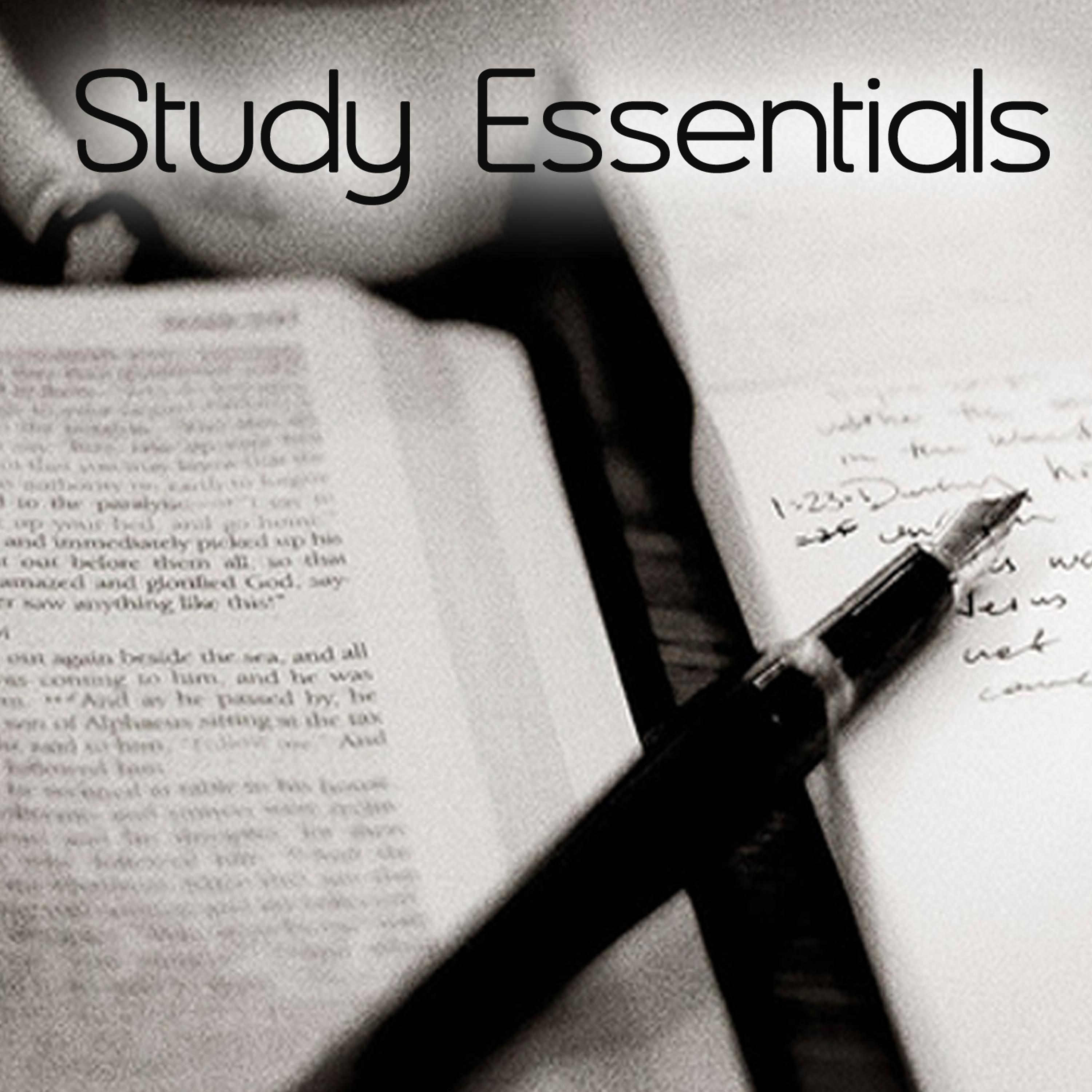 Постер альбома Study Essentials