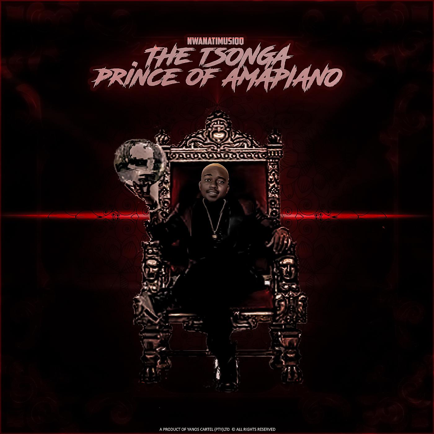 Постер альбома The Tsonga Prince of Amapiano
