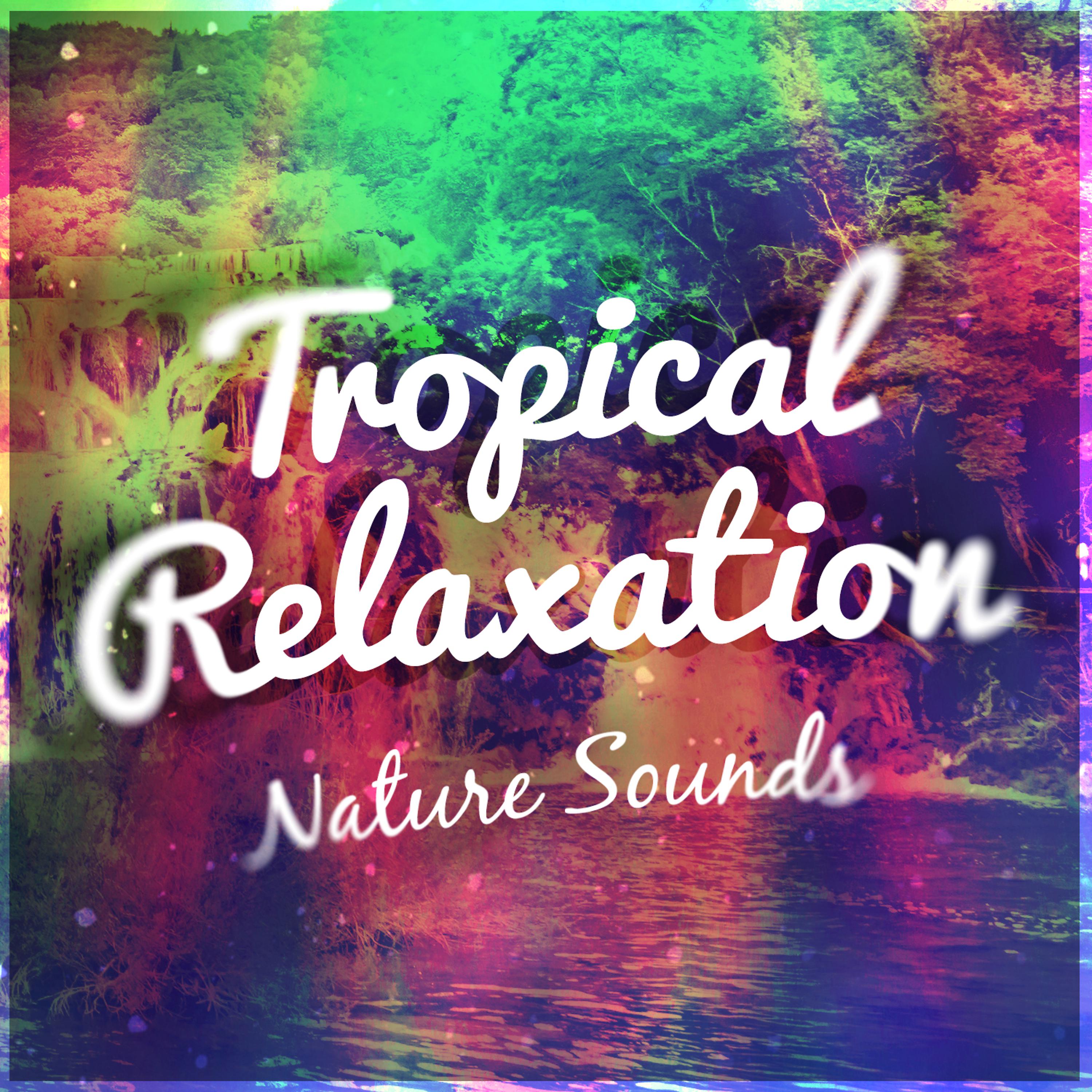 Постер альбома Tropical Relaxation: Nature Sounds