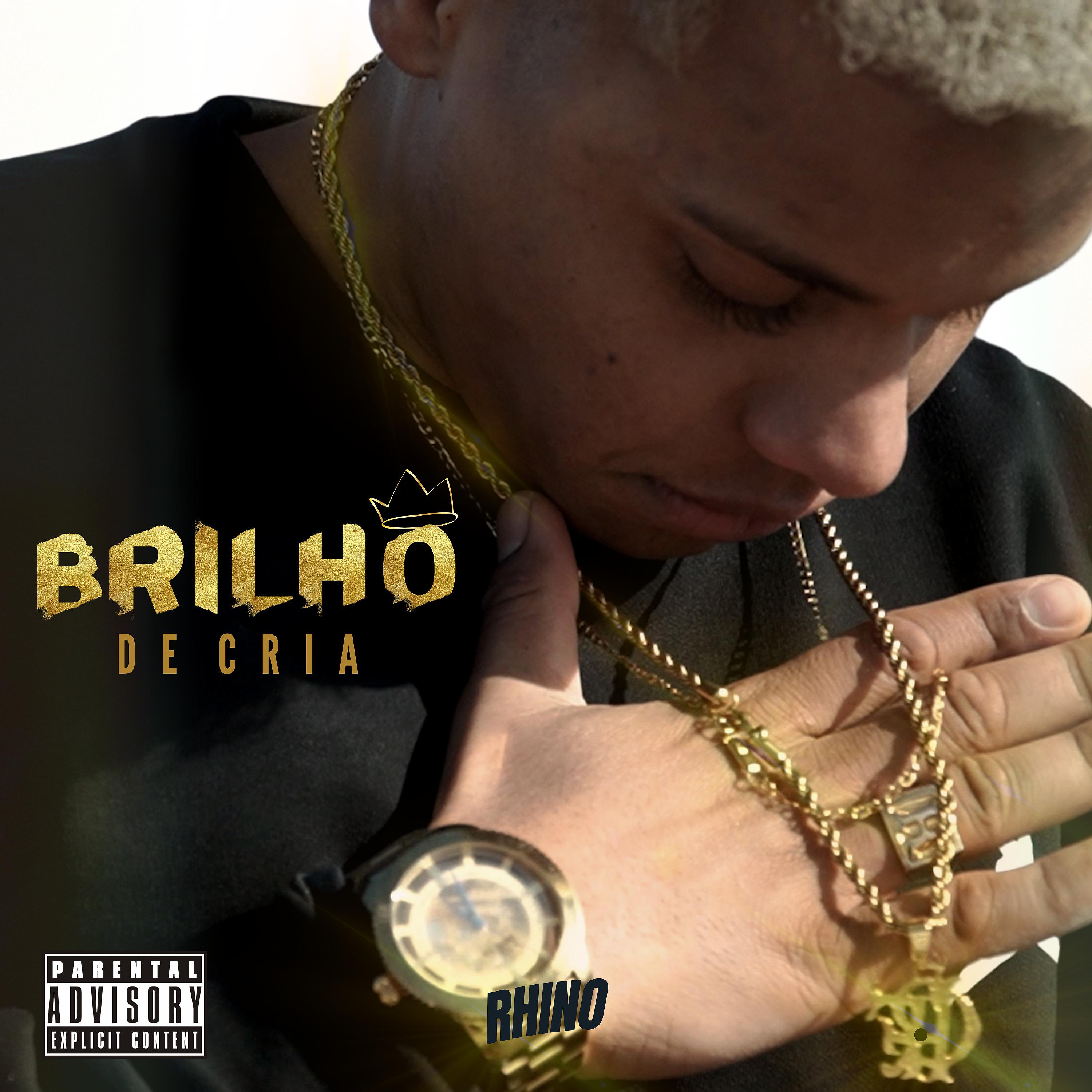 Постер альбома Brilho de Cria