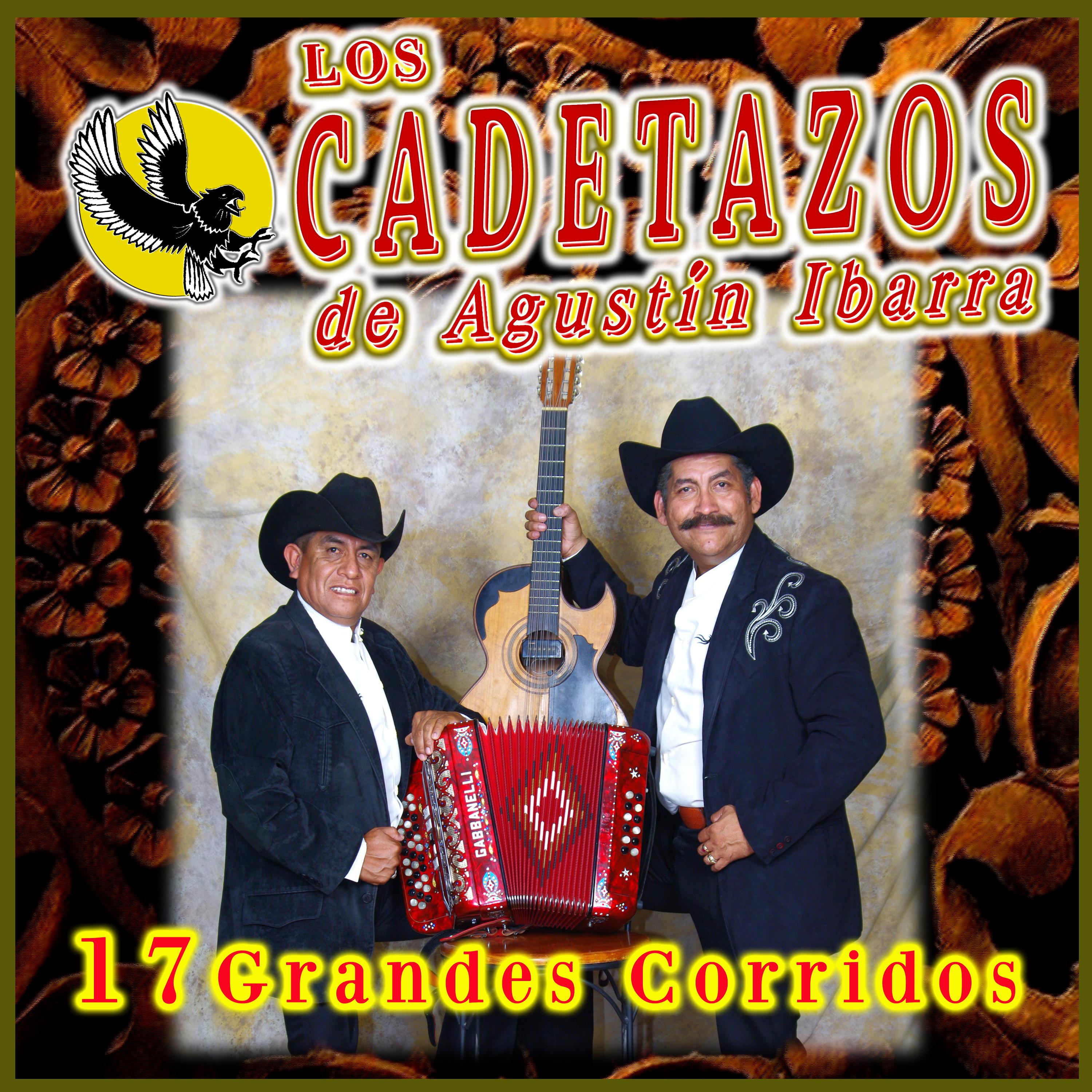 Постер альбома 17 Grandes Corridos