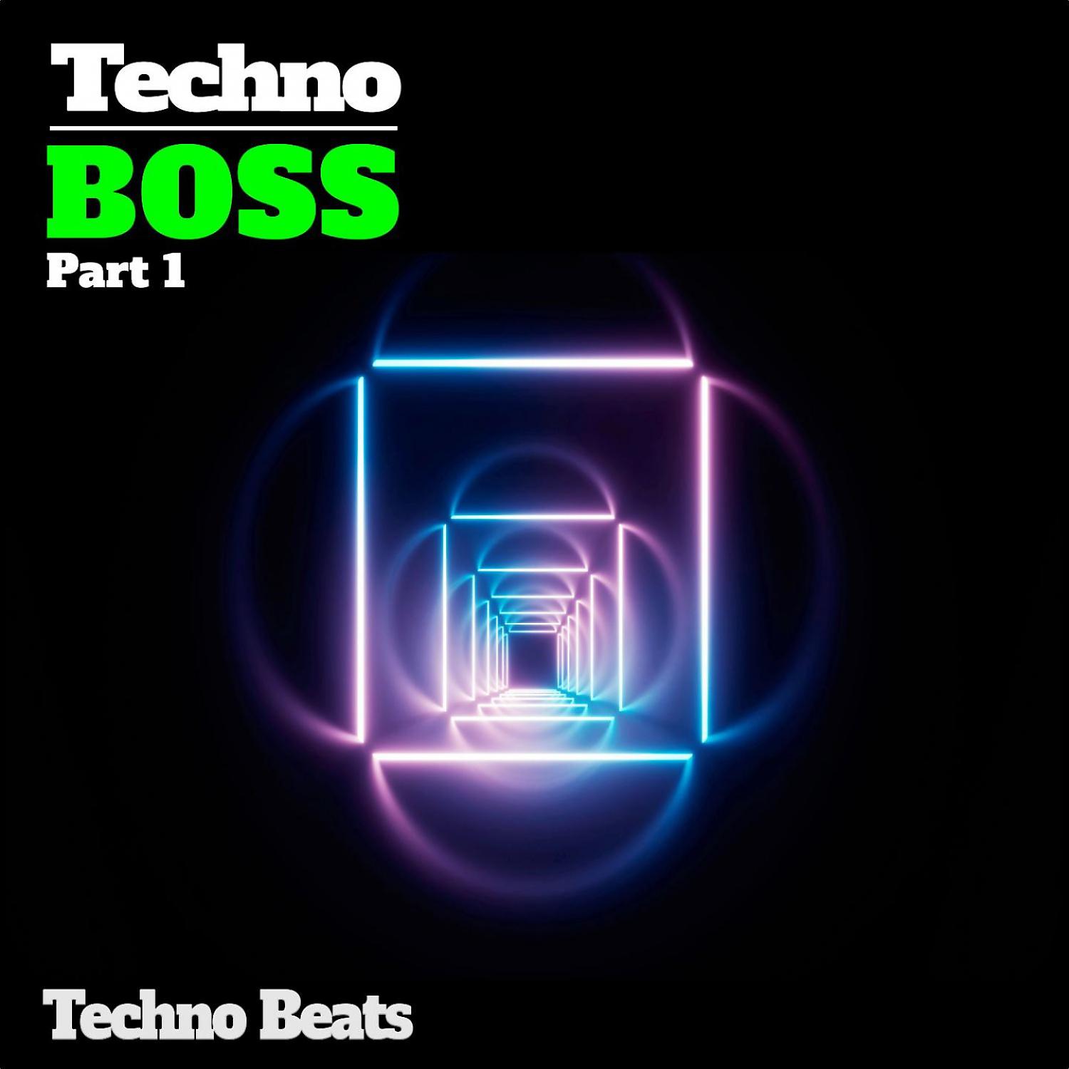 Постер альбома Techno Boss, Pt. 1 (Techno Beats)