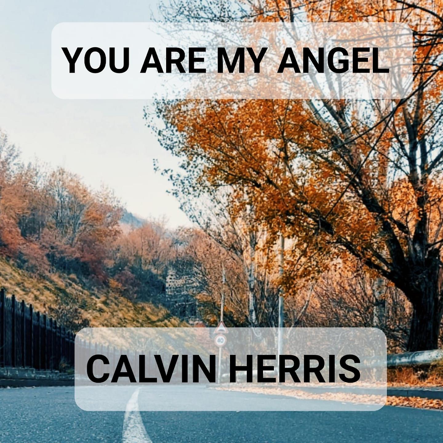 Постер альбома You are my angel