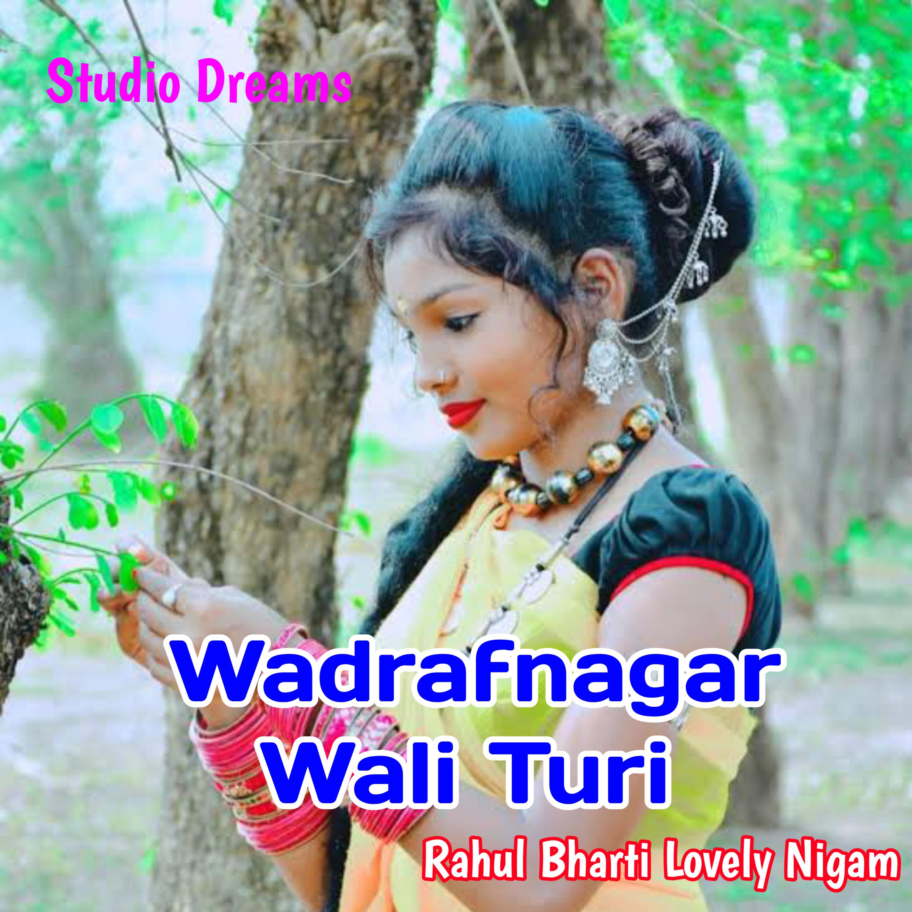 Постер альбома Wadrafnagar Wali Turi