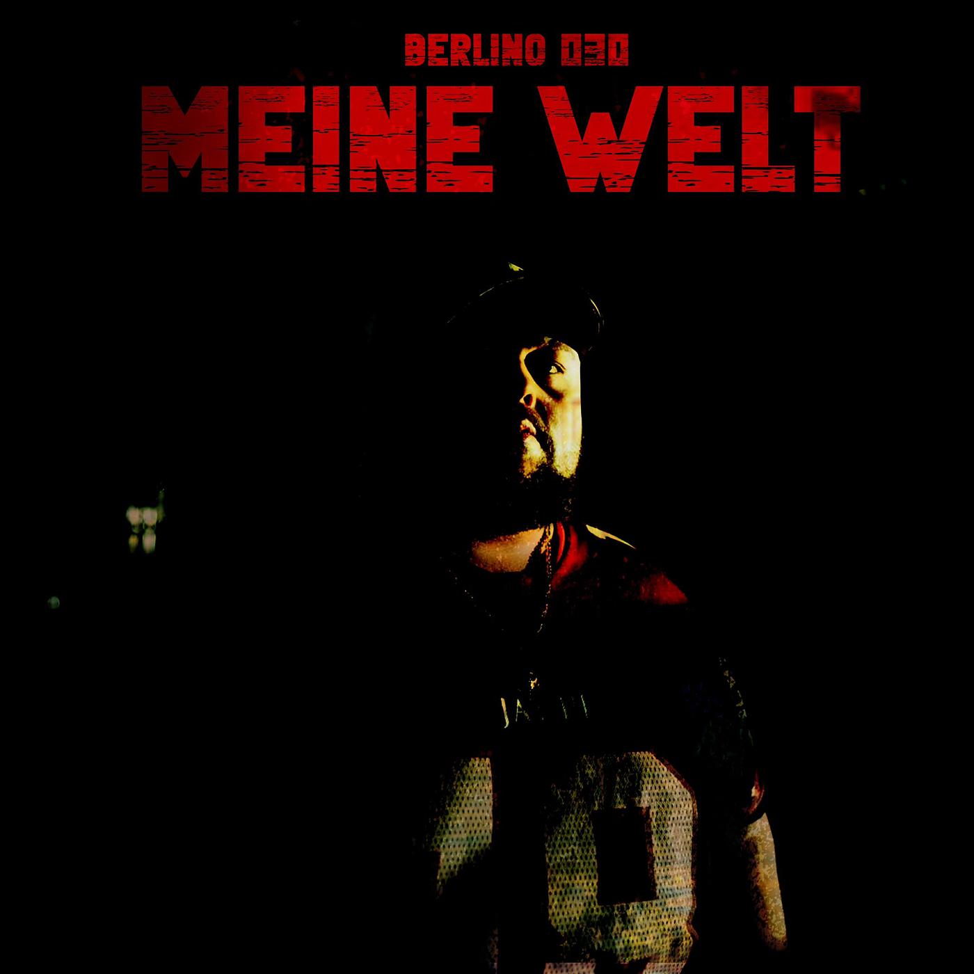 Постер альбома Meine Welt