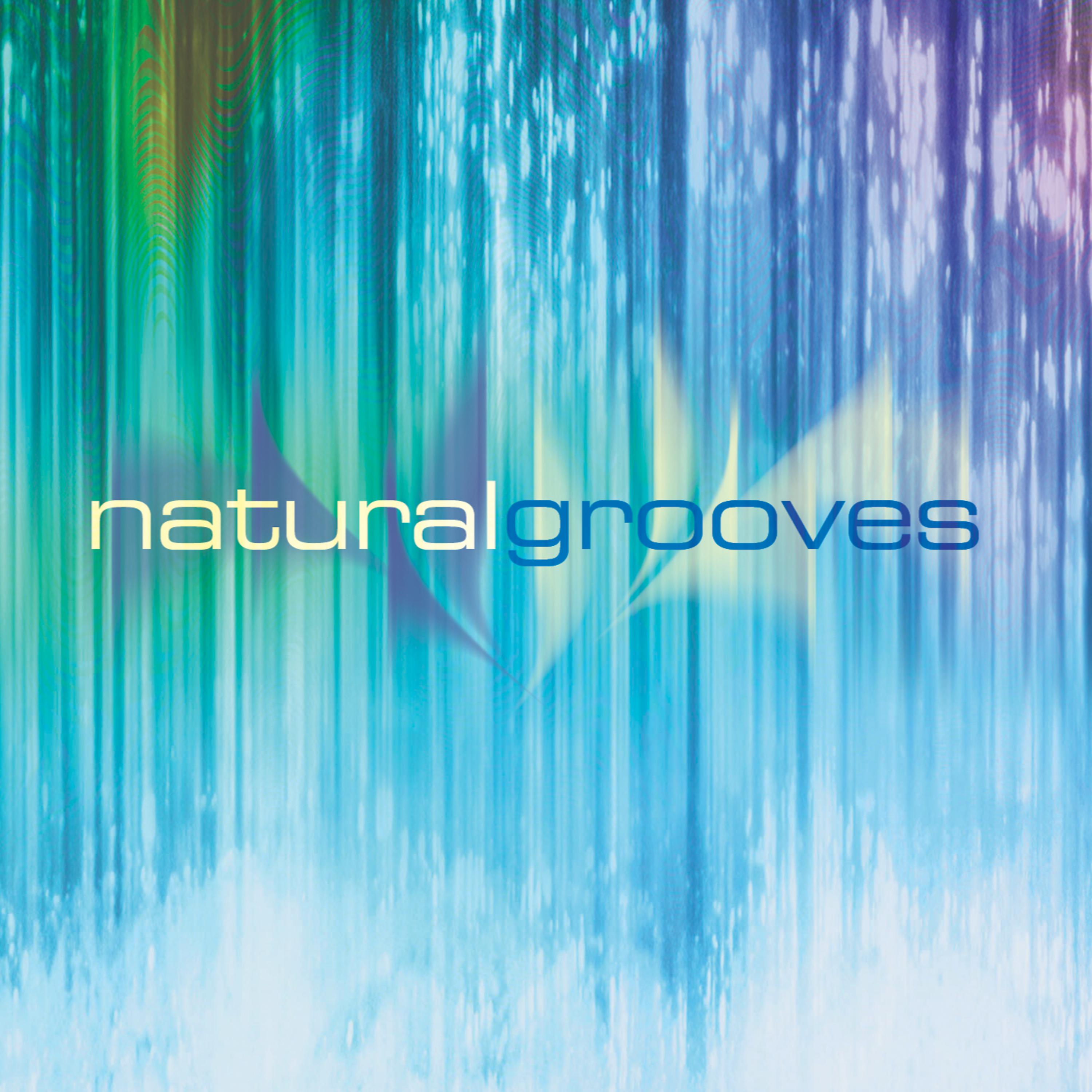 Постер альбома Natural Grooves