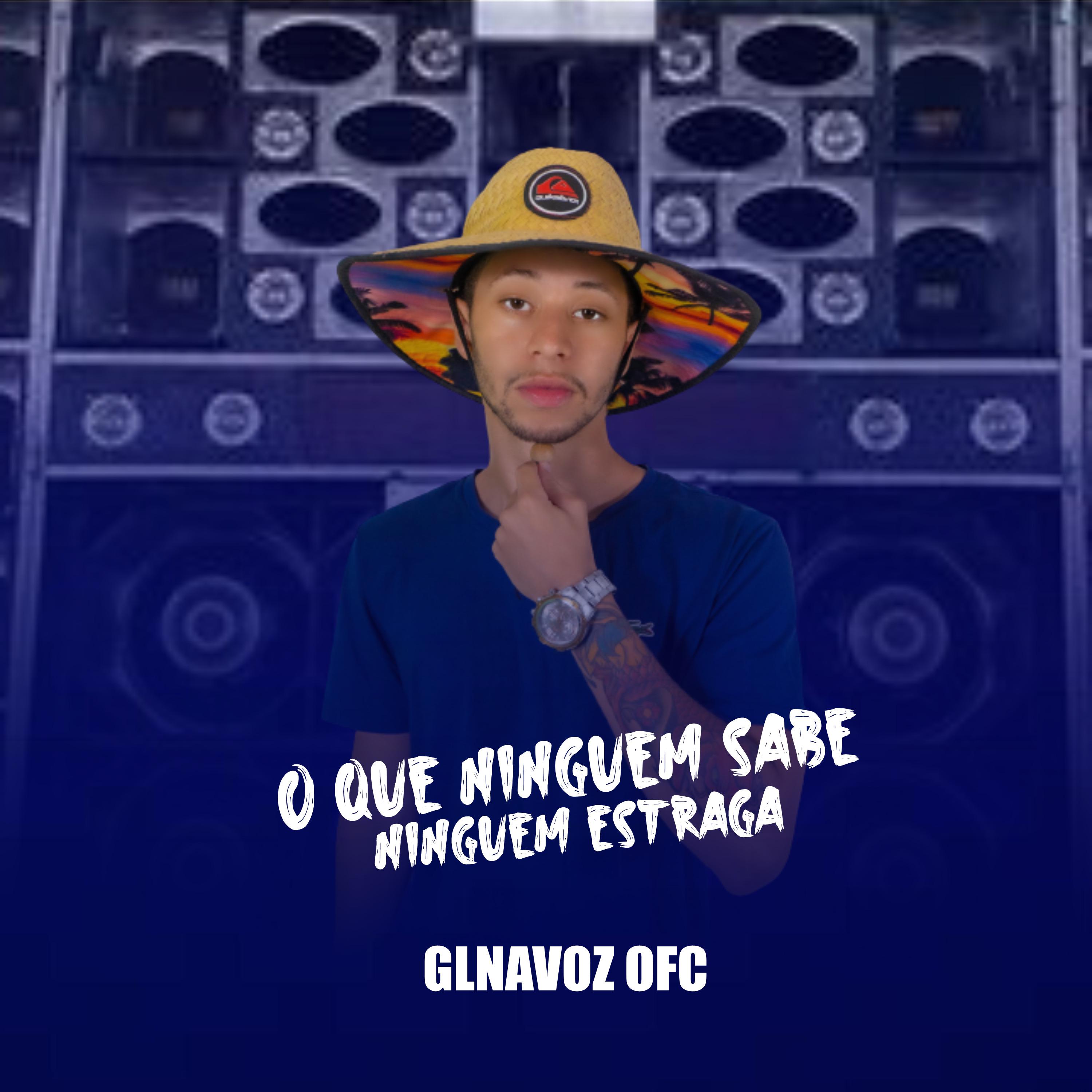Постер альбома O Que Ninguem Sabe - Ninguem Estraga