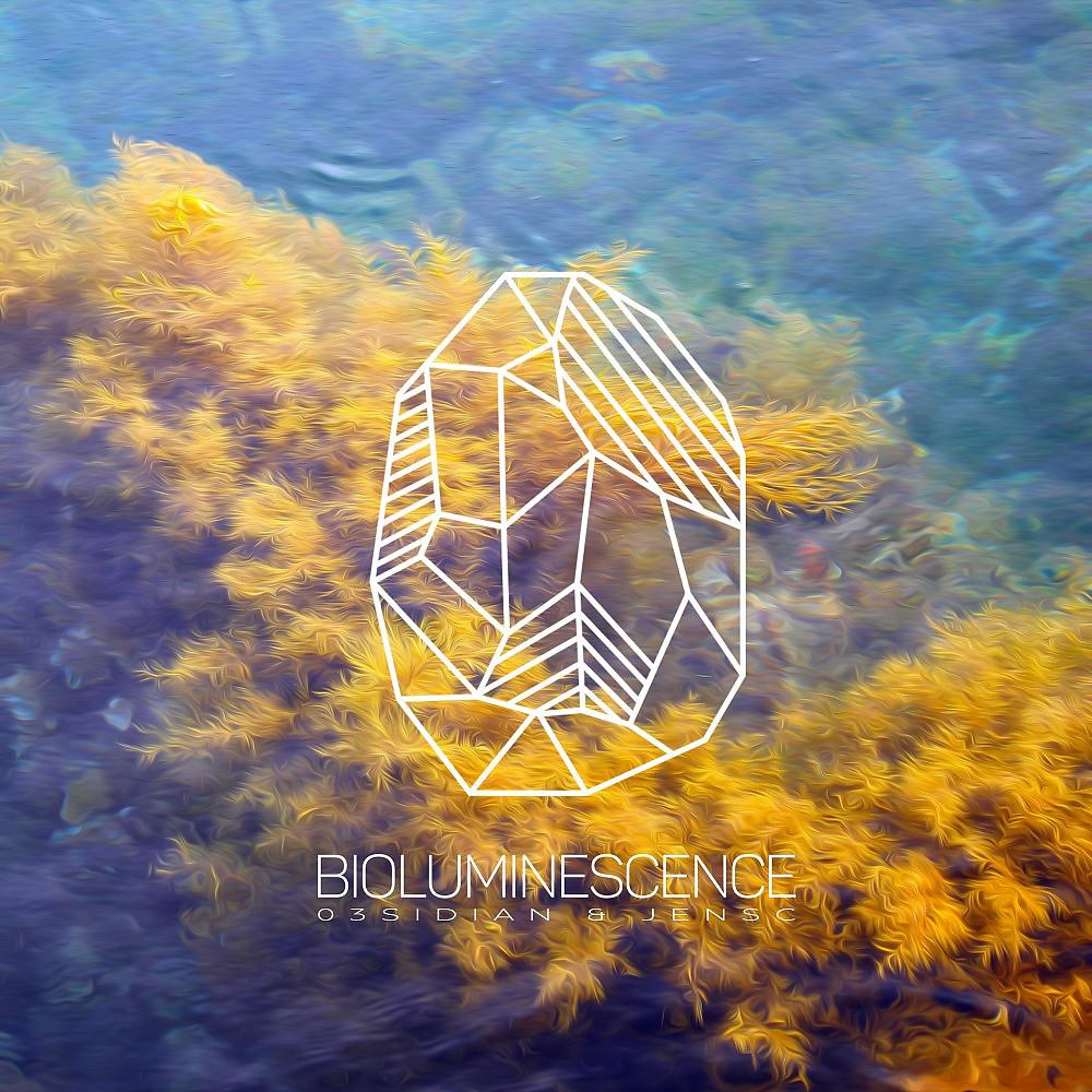 Постер альбома Bioluminescence