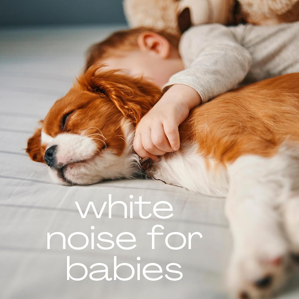 Постер альбома White Noise for Babys