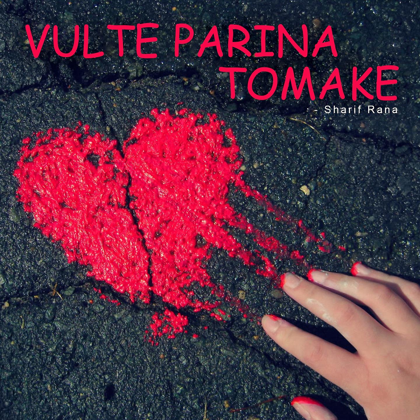 Постер альбома Vulte Parina Tomake