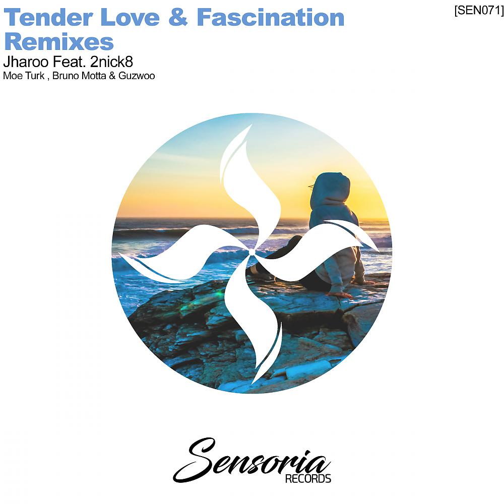 Постер альбома Tender Love & Fascination Remixes