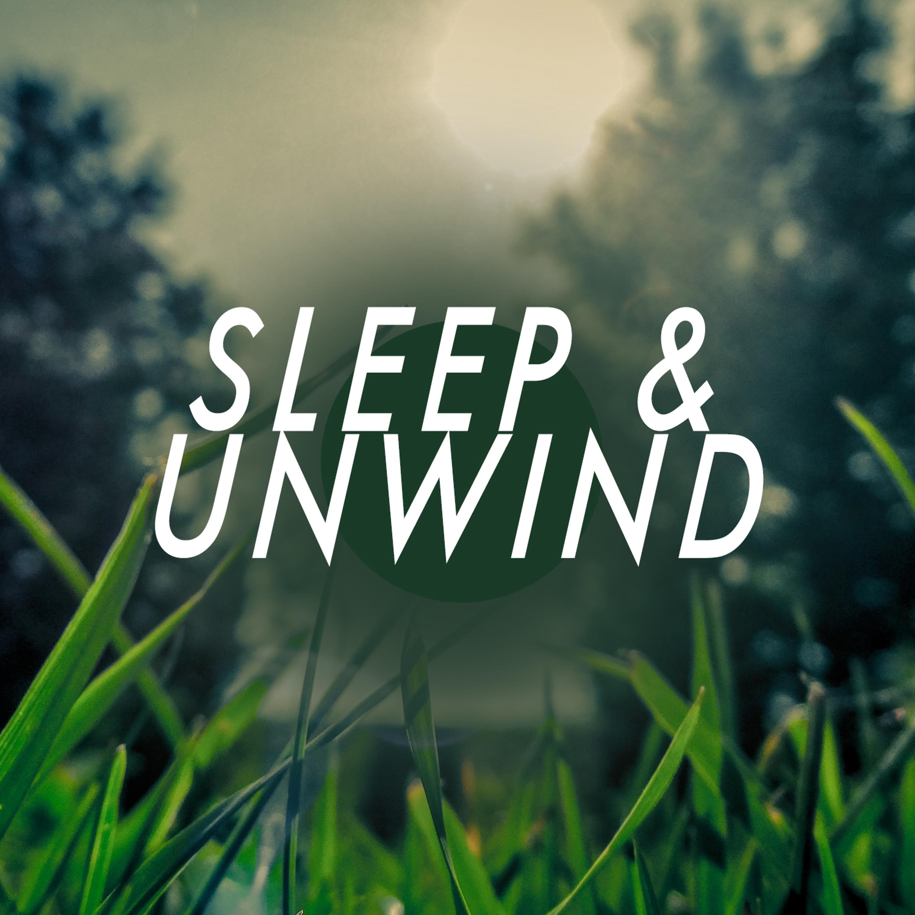 Постер альбома Sleep & Unwind