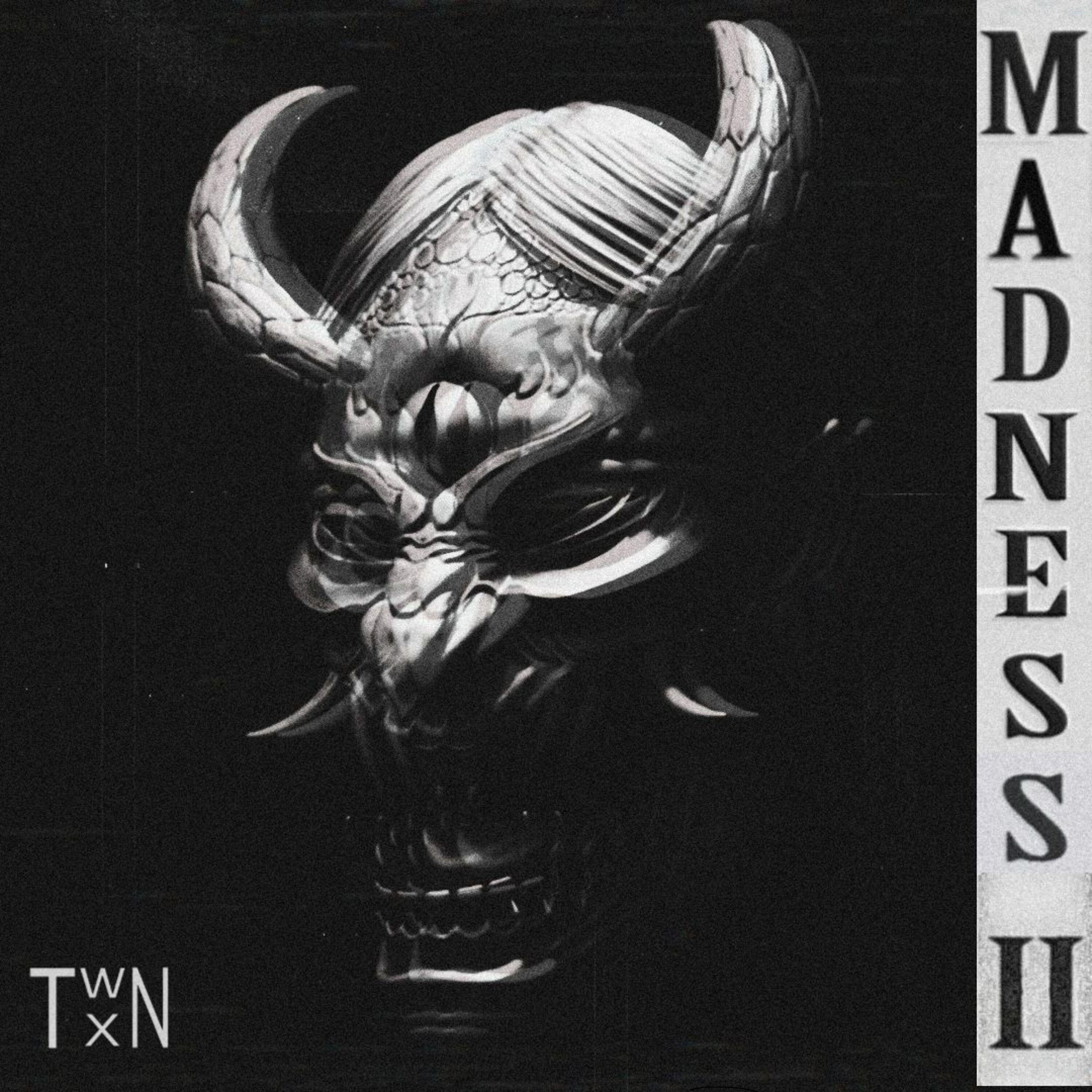 Постер альбома Madness 2