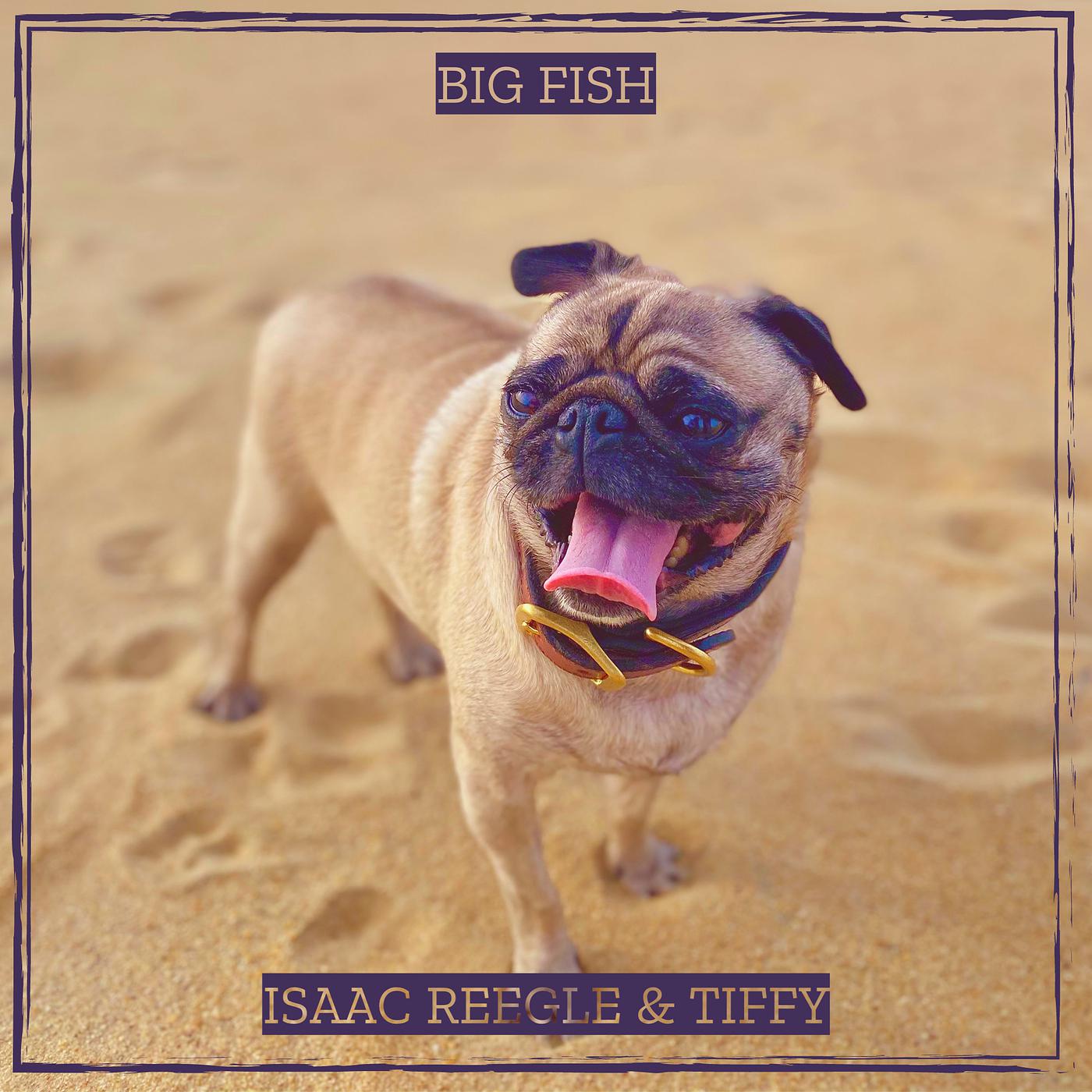 Постер альбома Big Fish