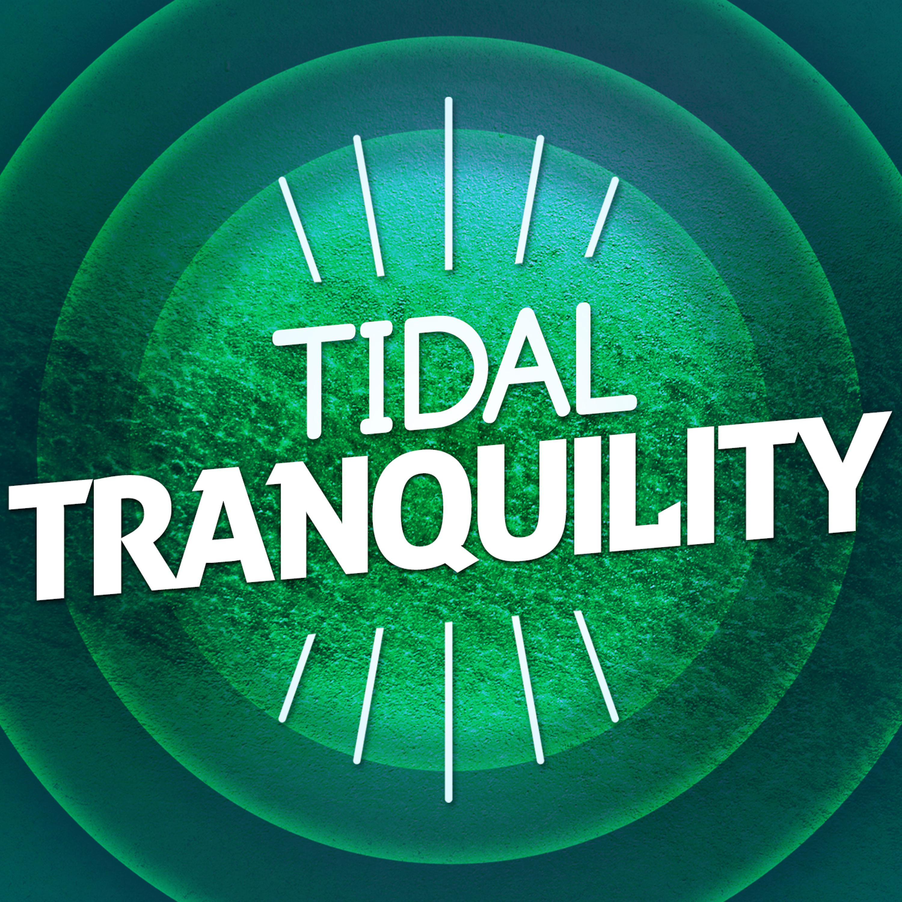 Постер альбома Tidal Tranquility