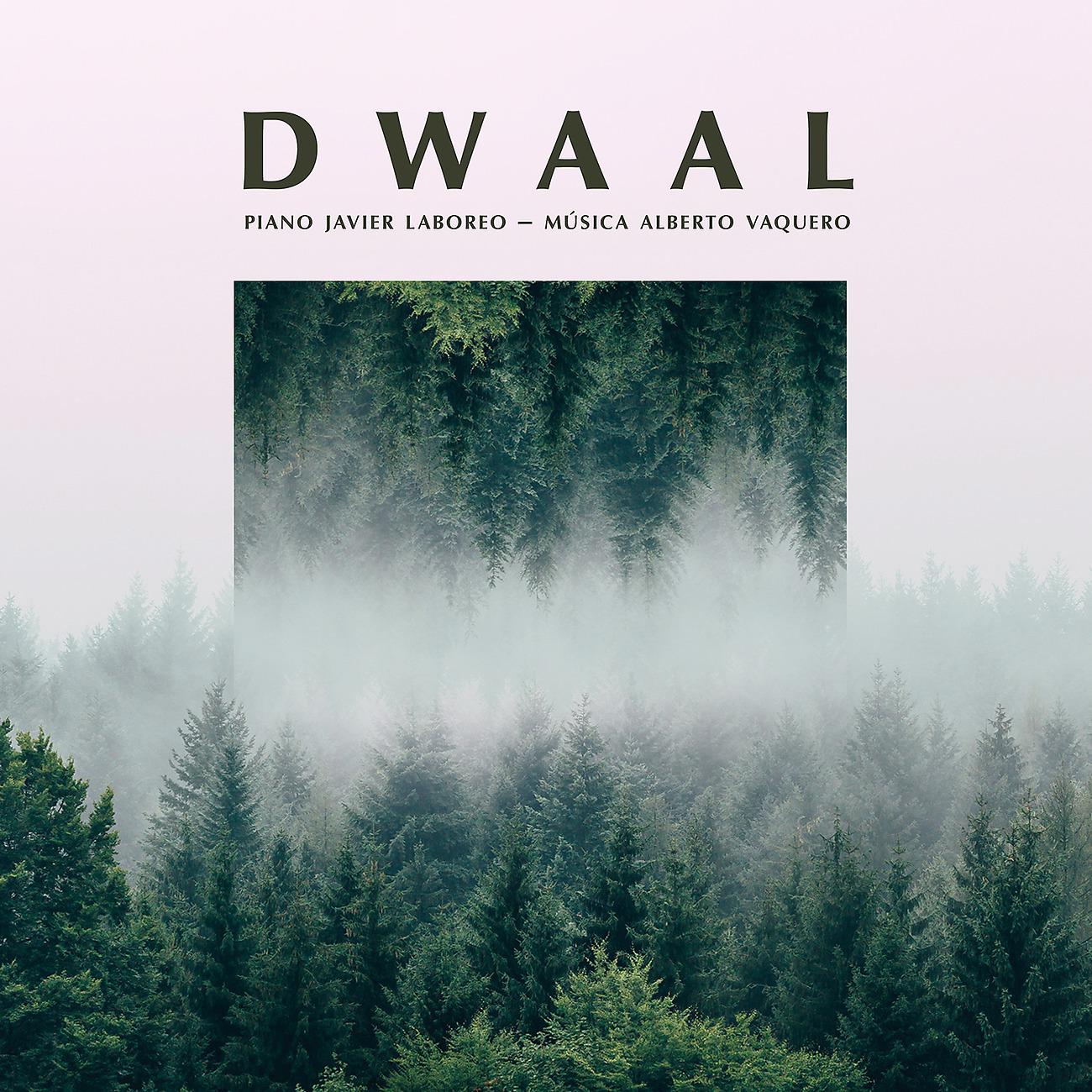 Постер альбома Dwaal